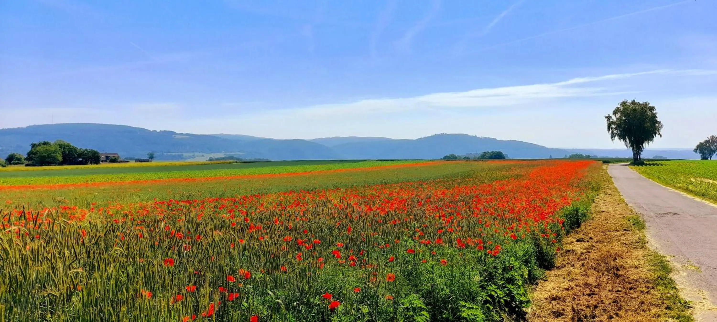 Moselblick Hotel Aroma