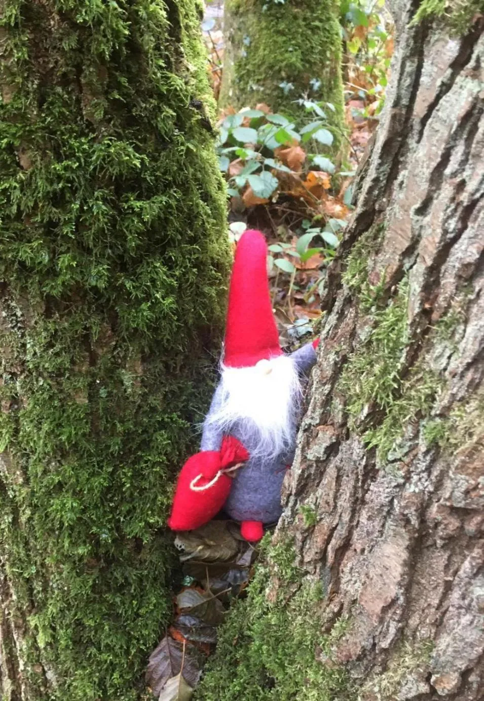 Moselblick Hotel Aroma