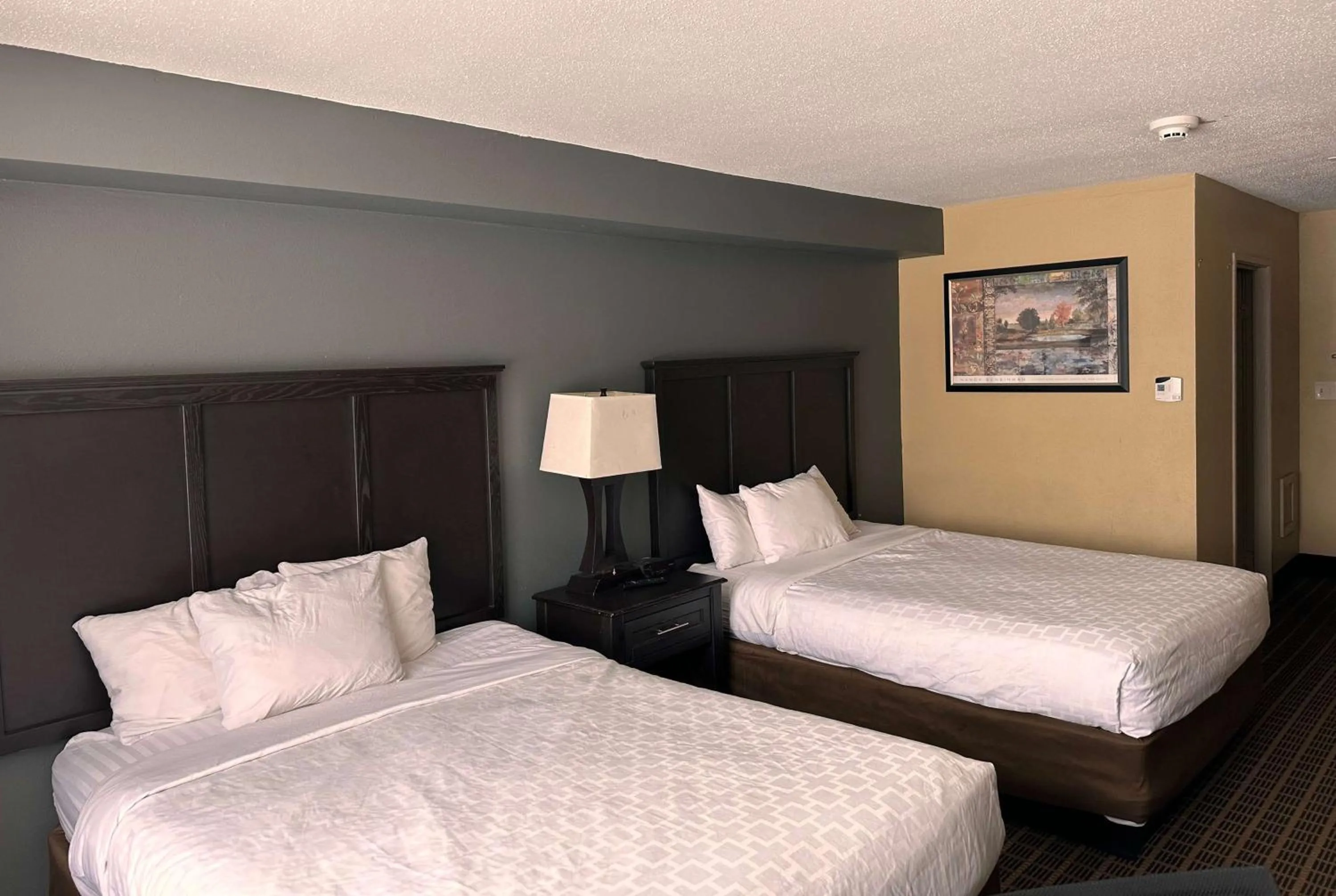 Photo of the whole room, Bed in Clarion Inn & Suites