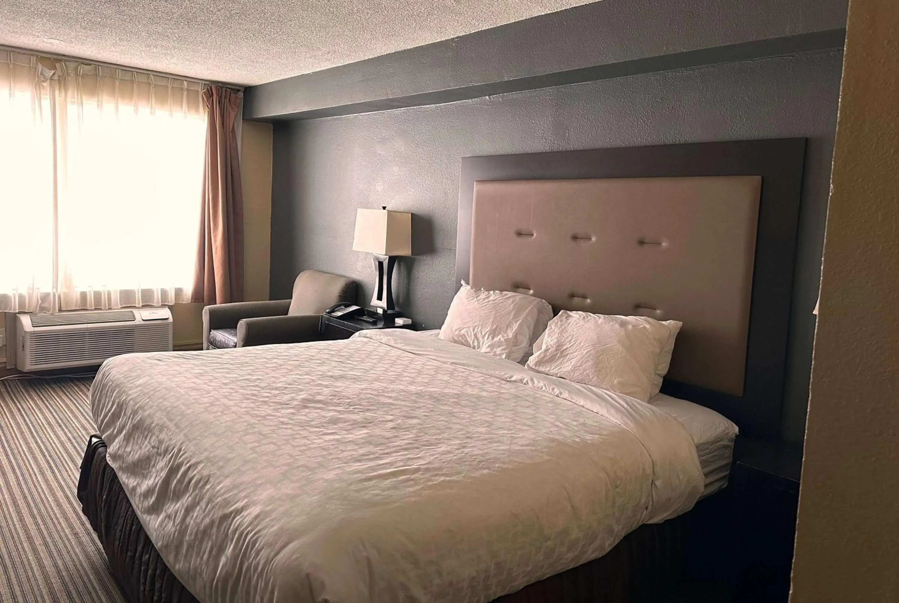 Photo of the whole room, Bed in Clarion Inn & Suites