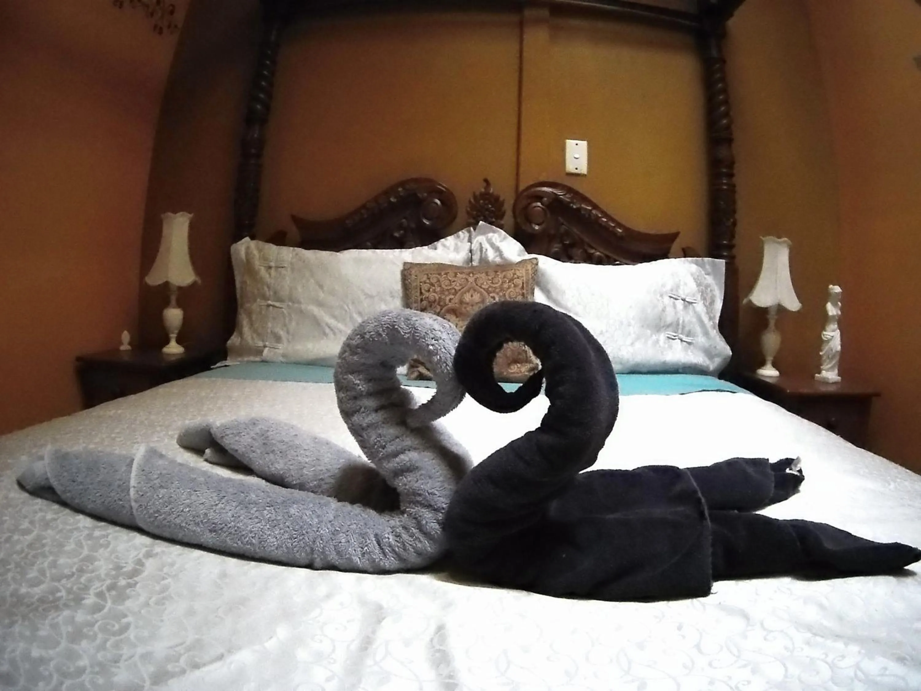 Decorative detail, Bed in Atlantis Backpackers