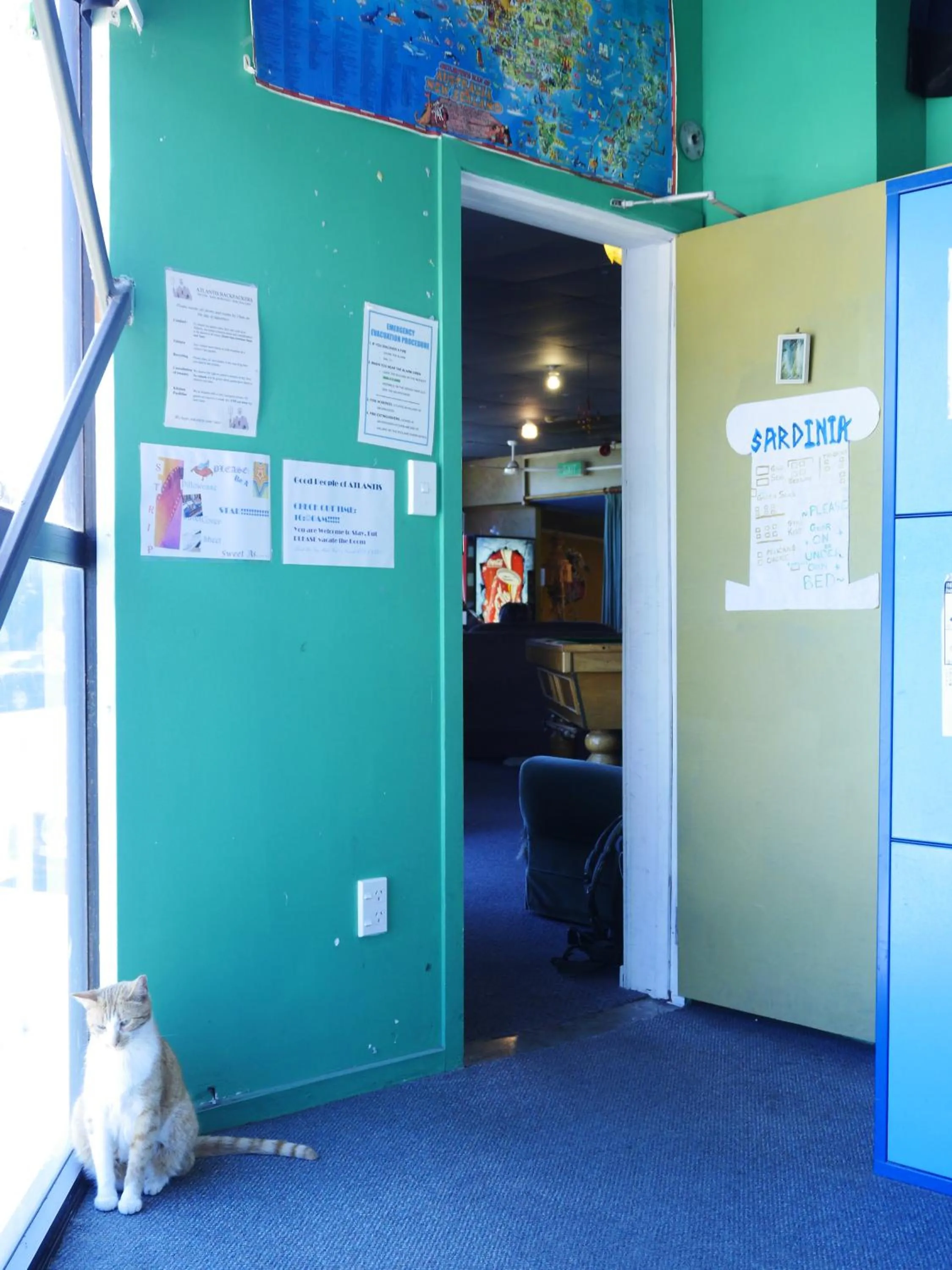 Pets in Atlantis Backpackers