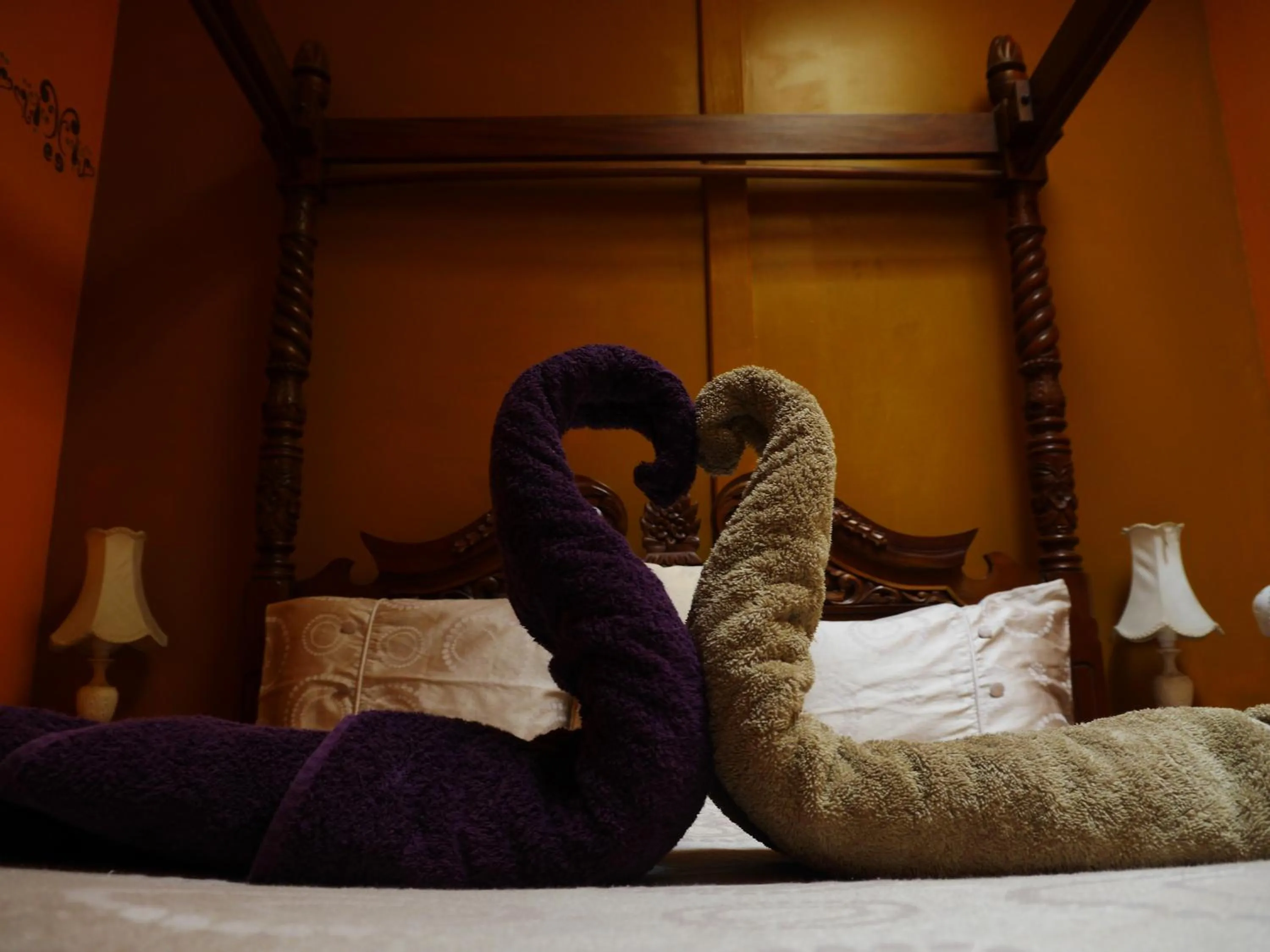 Bed in Atlantis Backpackers