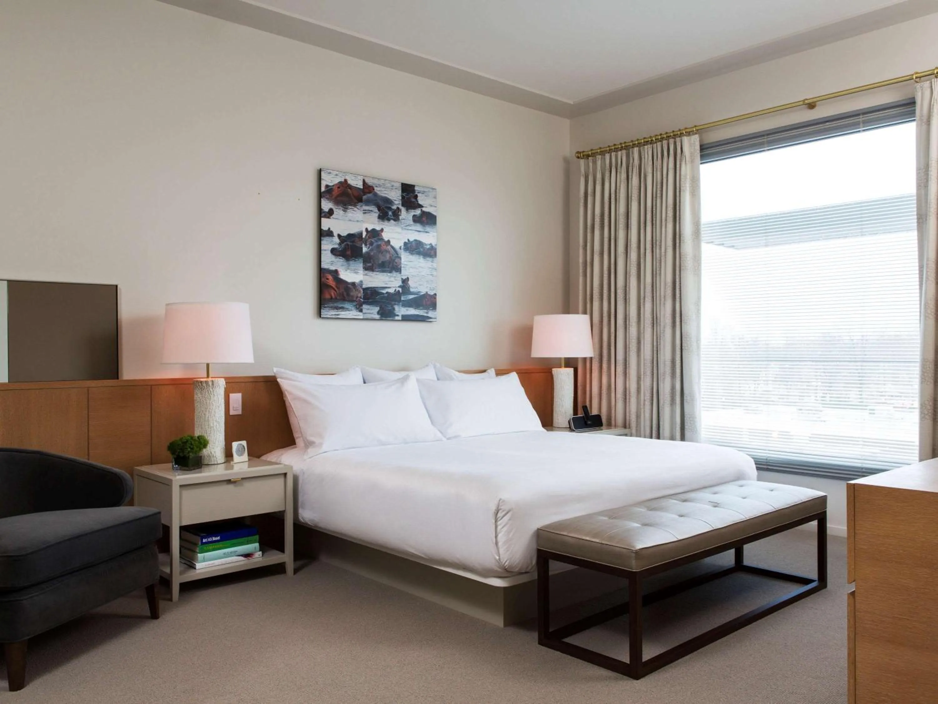 Photo of the whole room, Bed in 21c Museum Hotel Bentonville - MGallery