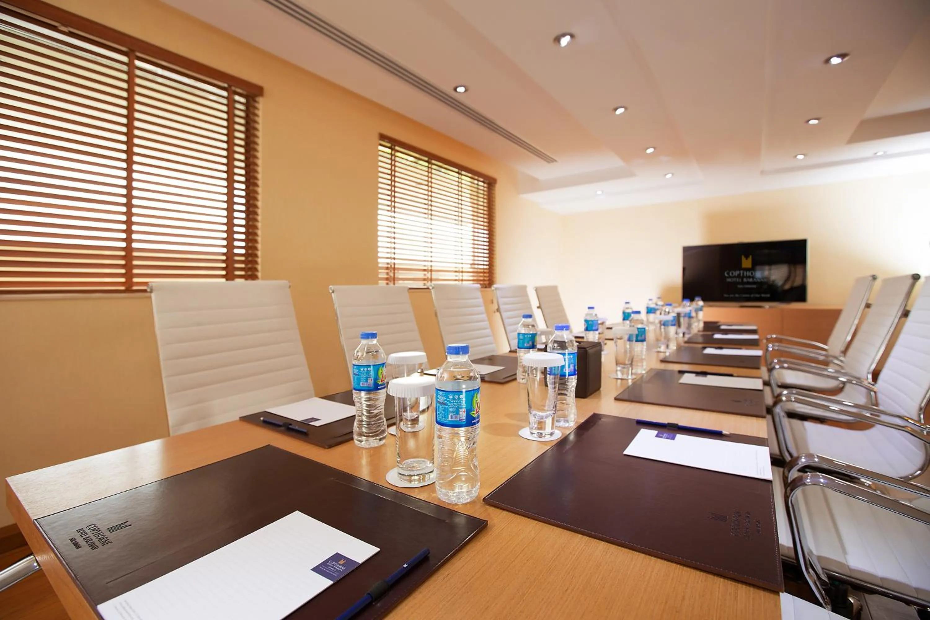 Business facilities in Copthorne Hotel Baranan