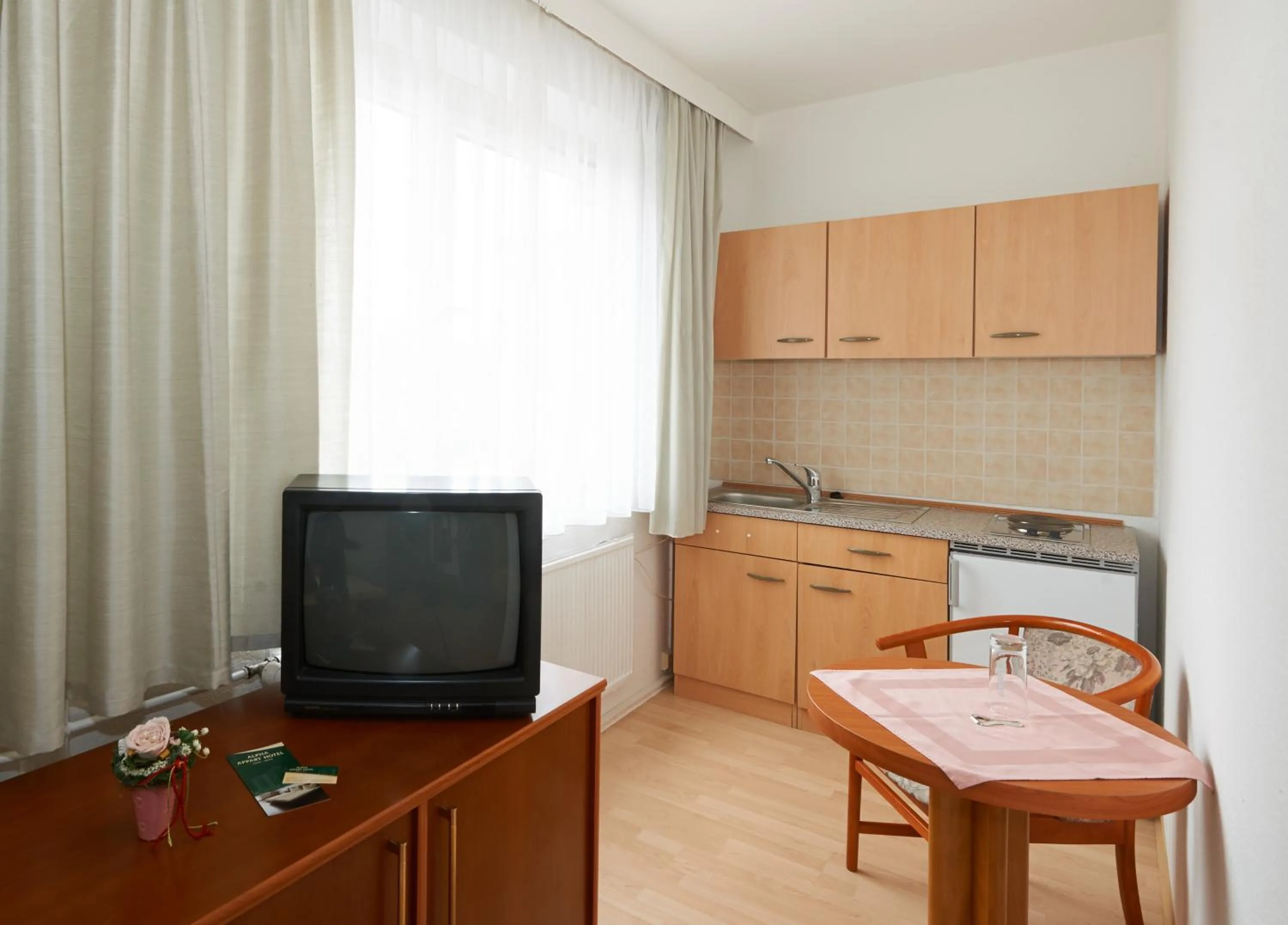 Kitchen or kitchenette in Alpha Apparthotel leipzig-Rötha