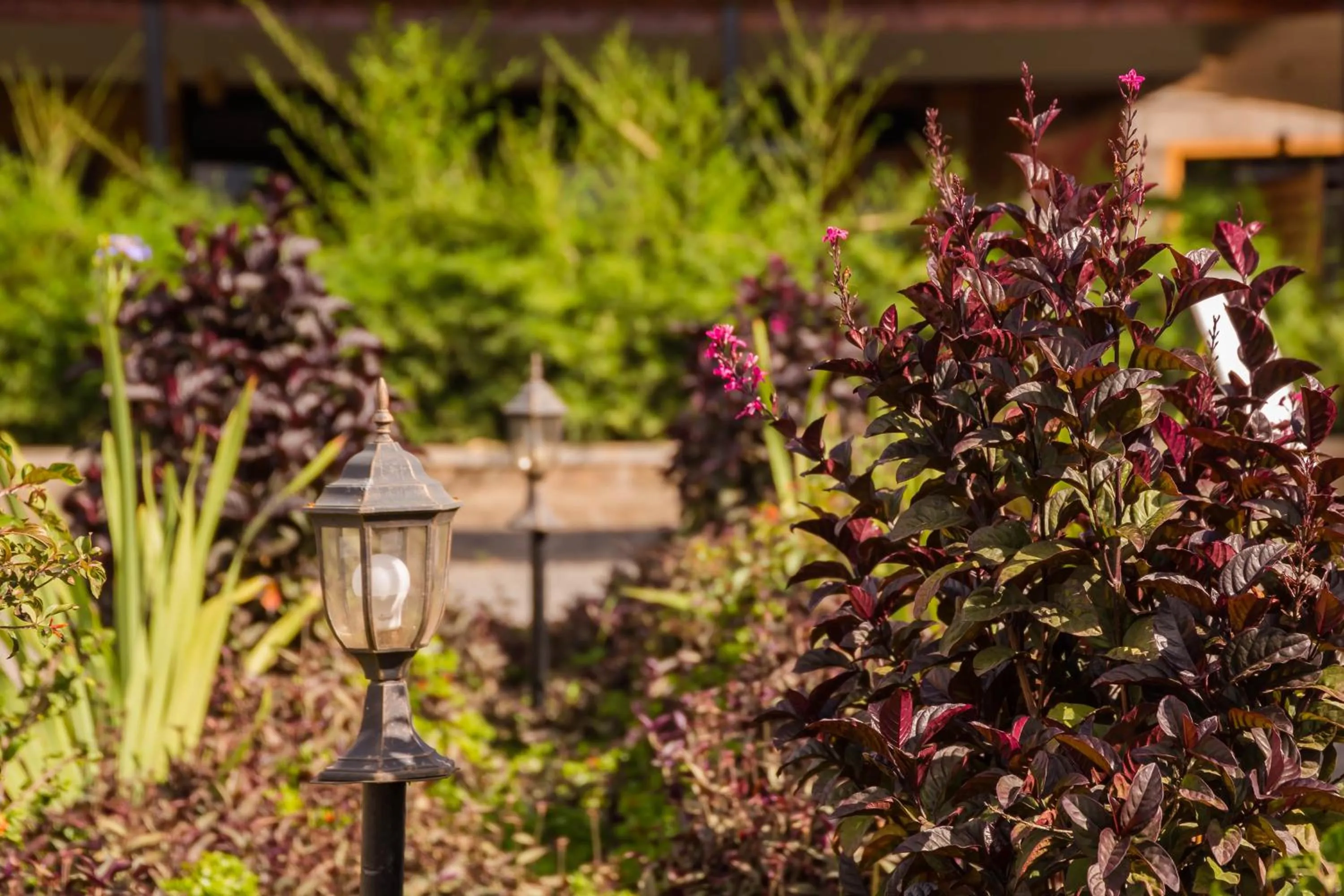 Garden in Maple Inn Hotel