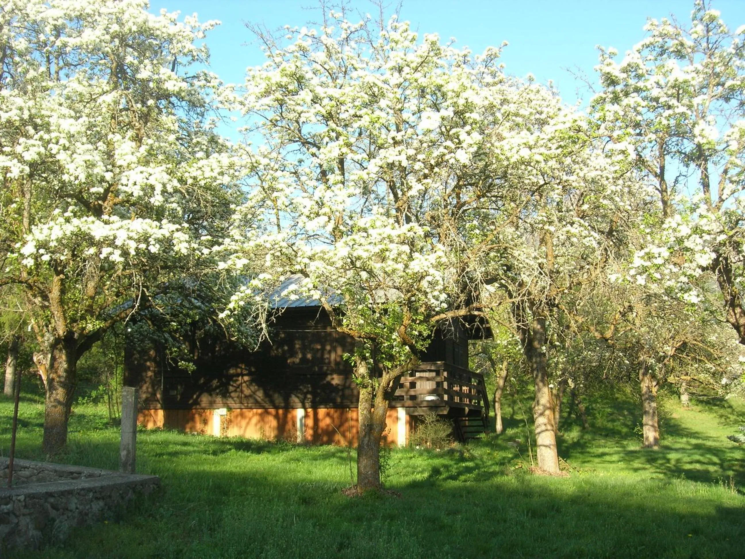 Landmark view in Camping, Hôtel De Plein Air Les Cariamas