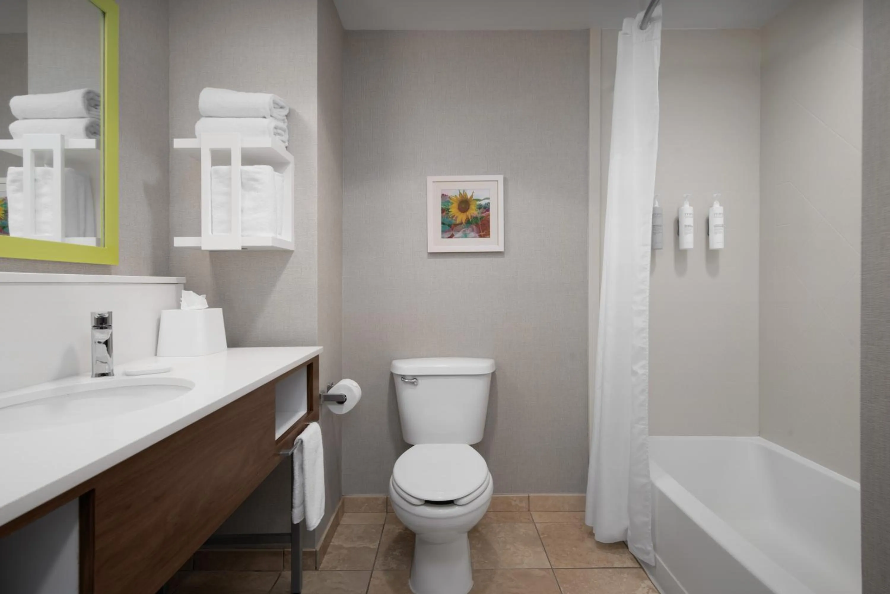 Bathroom in Hampton Inn & Suites-Knoxville/North I-75