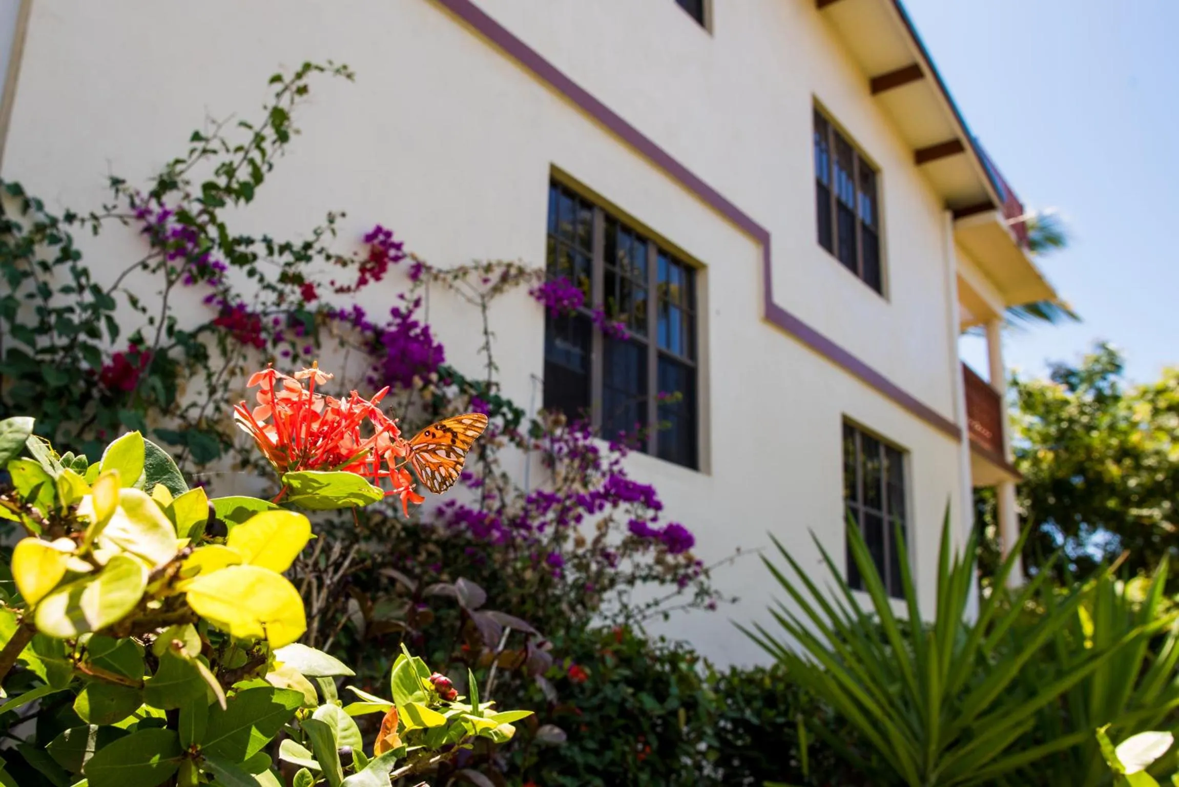 Bayview Vacation Apartments