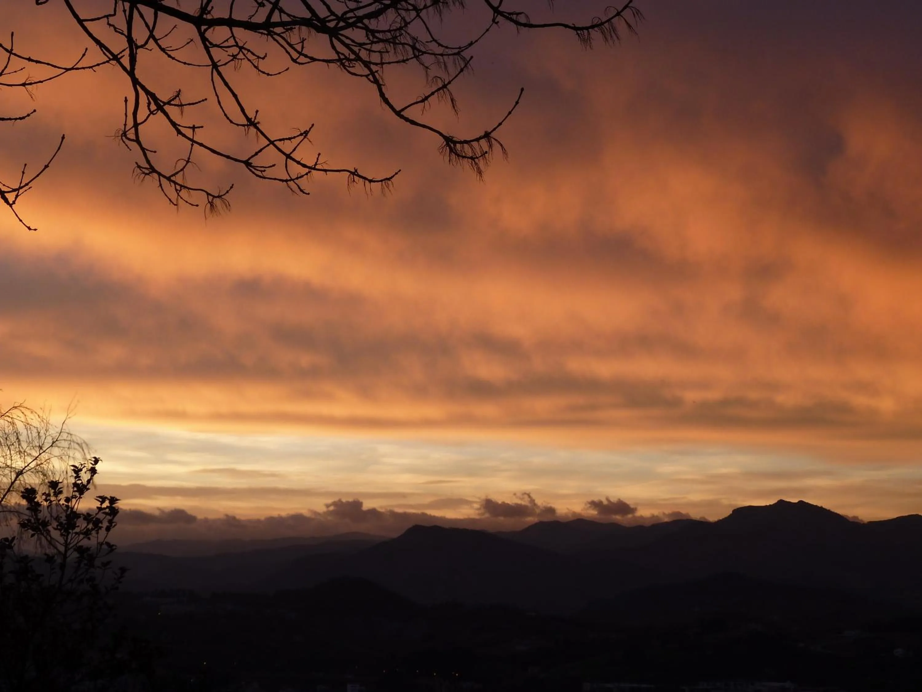 Natural landscape in Hotel Leku Eder