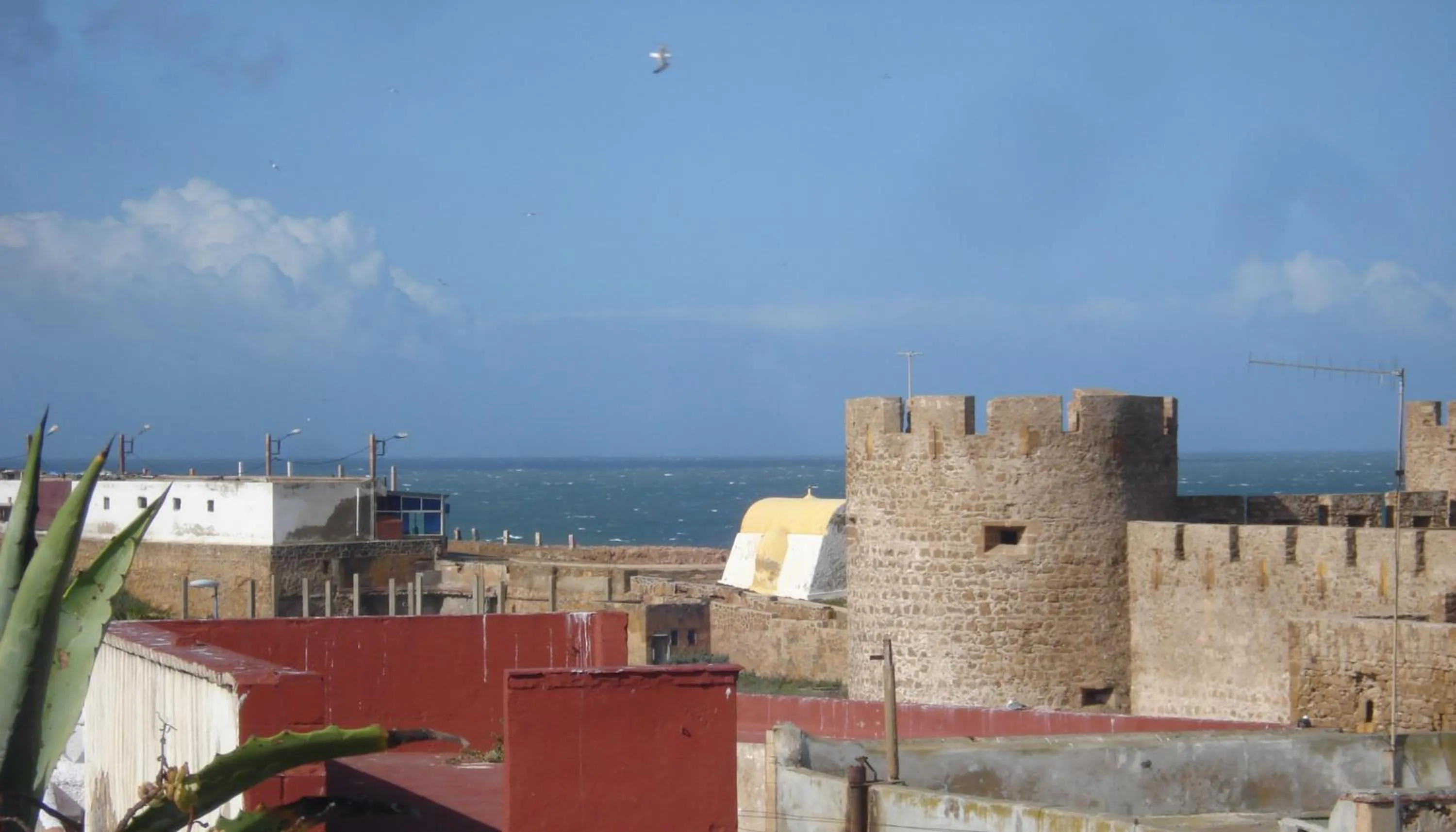 Beach in Riad Le Cheval Blanc