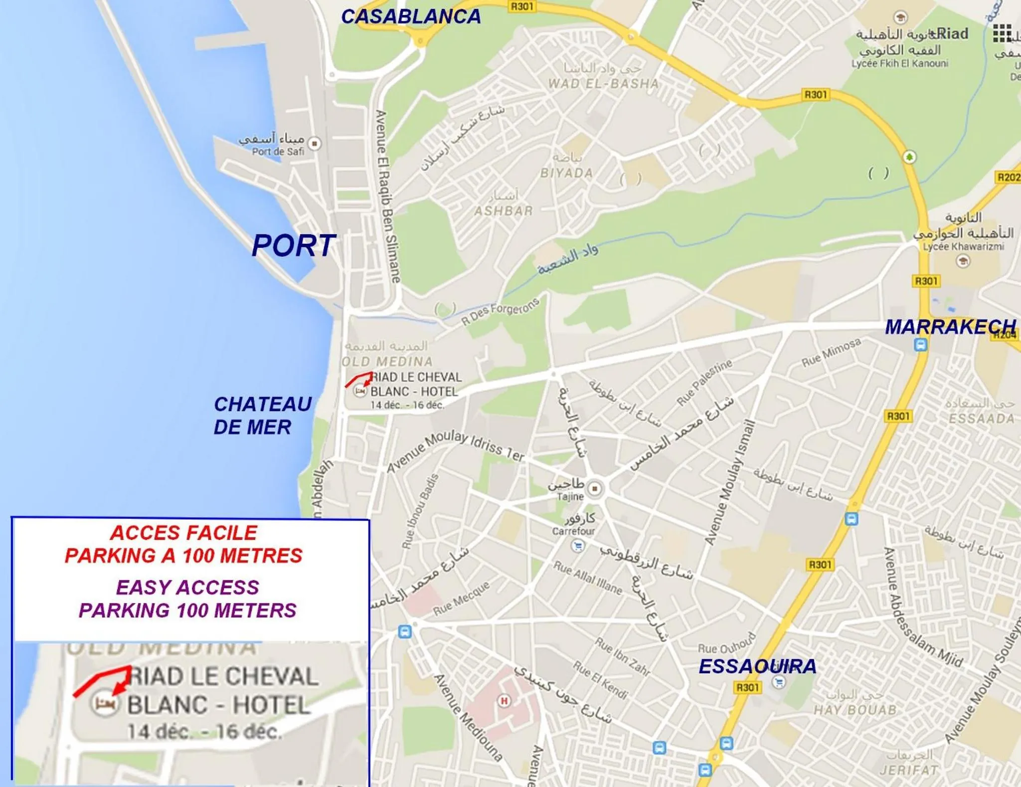 View (from property/room) in Riad Le Cheval Blanc