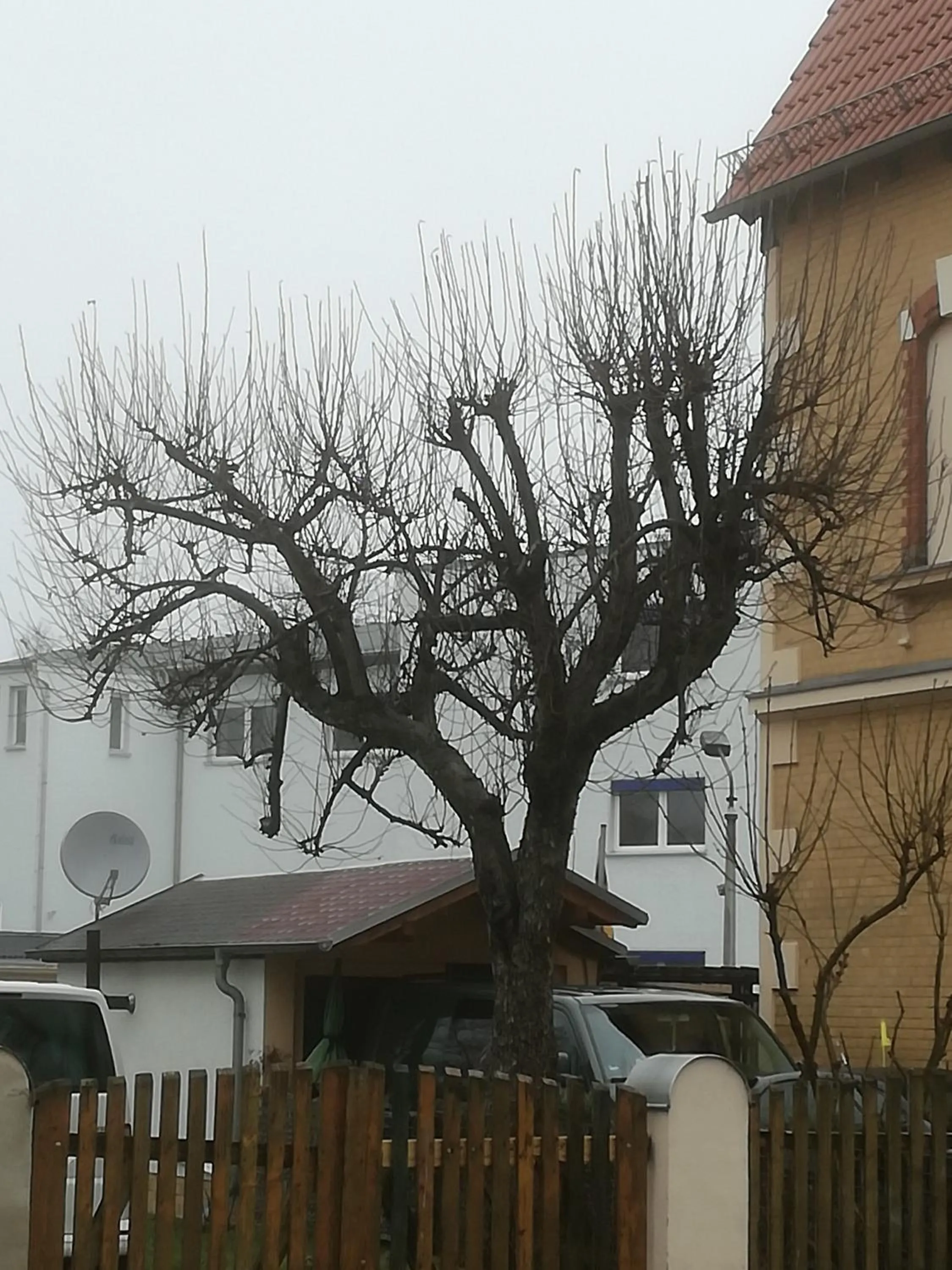 View (from property/room) in Auestraße 94A