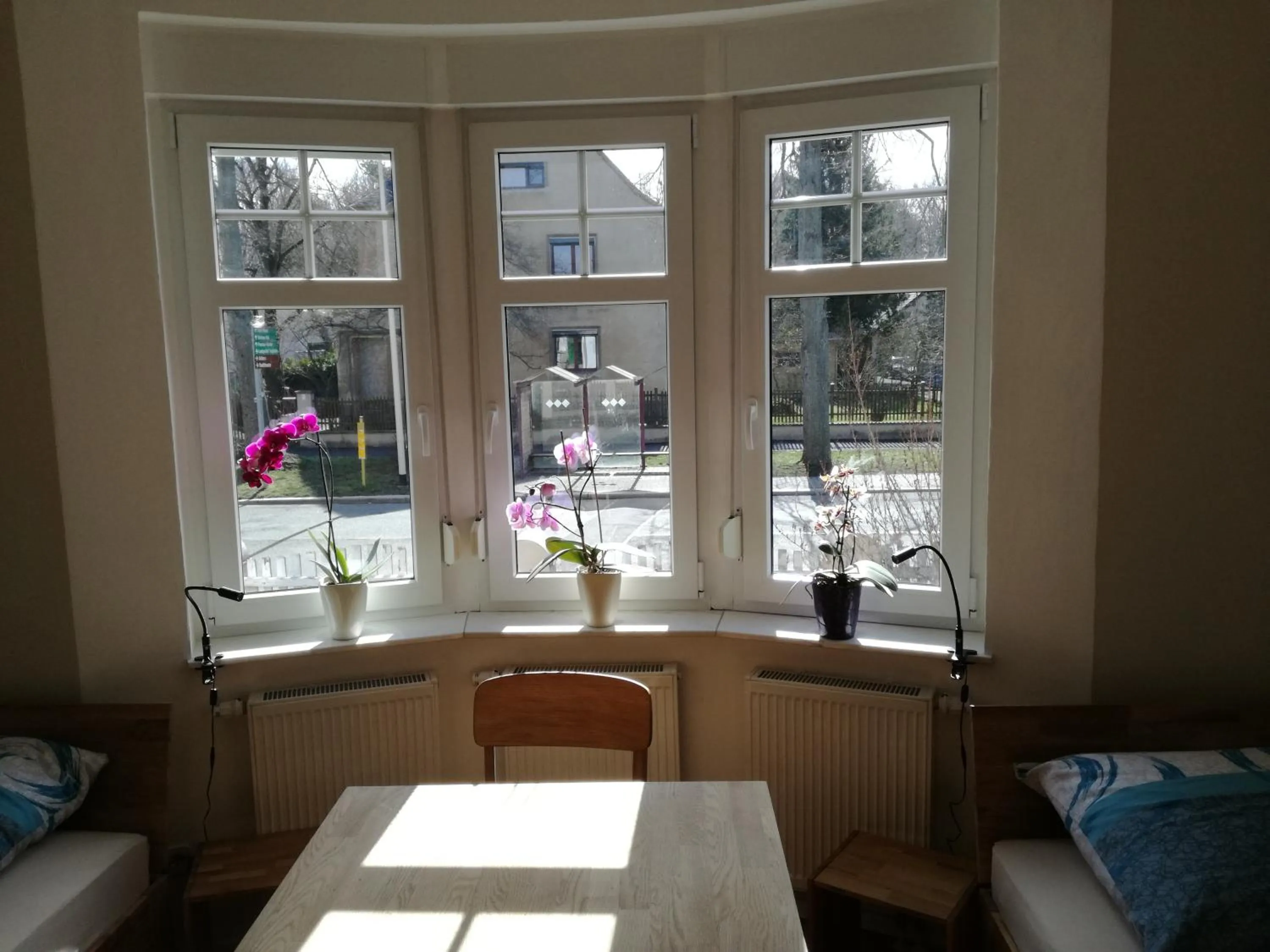 Photo of the whole room in Auestraße 94A