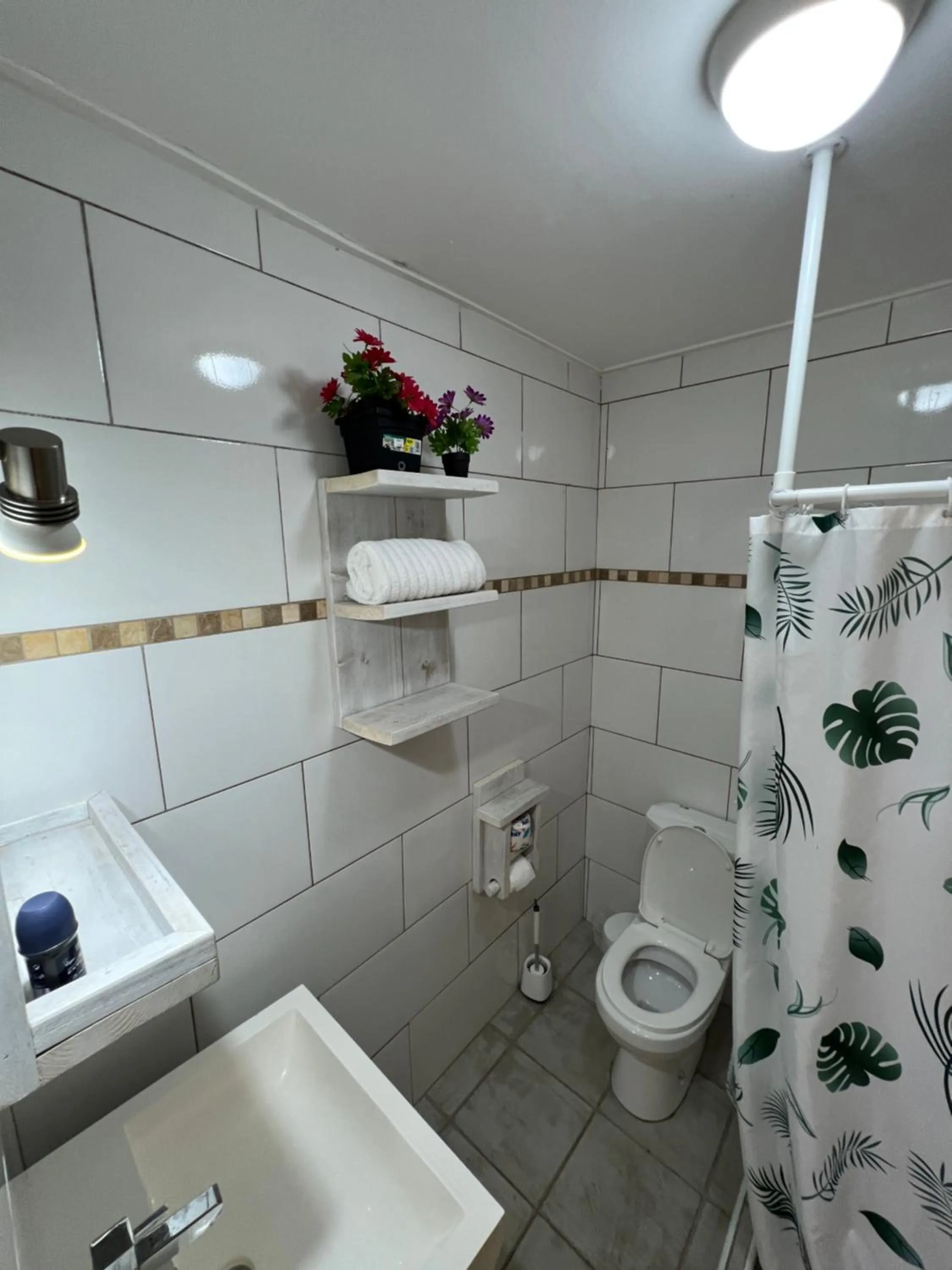 Mustique Suites Curacao