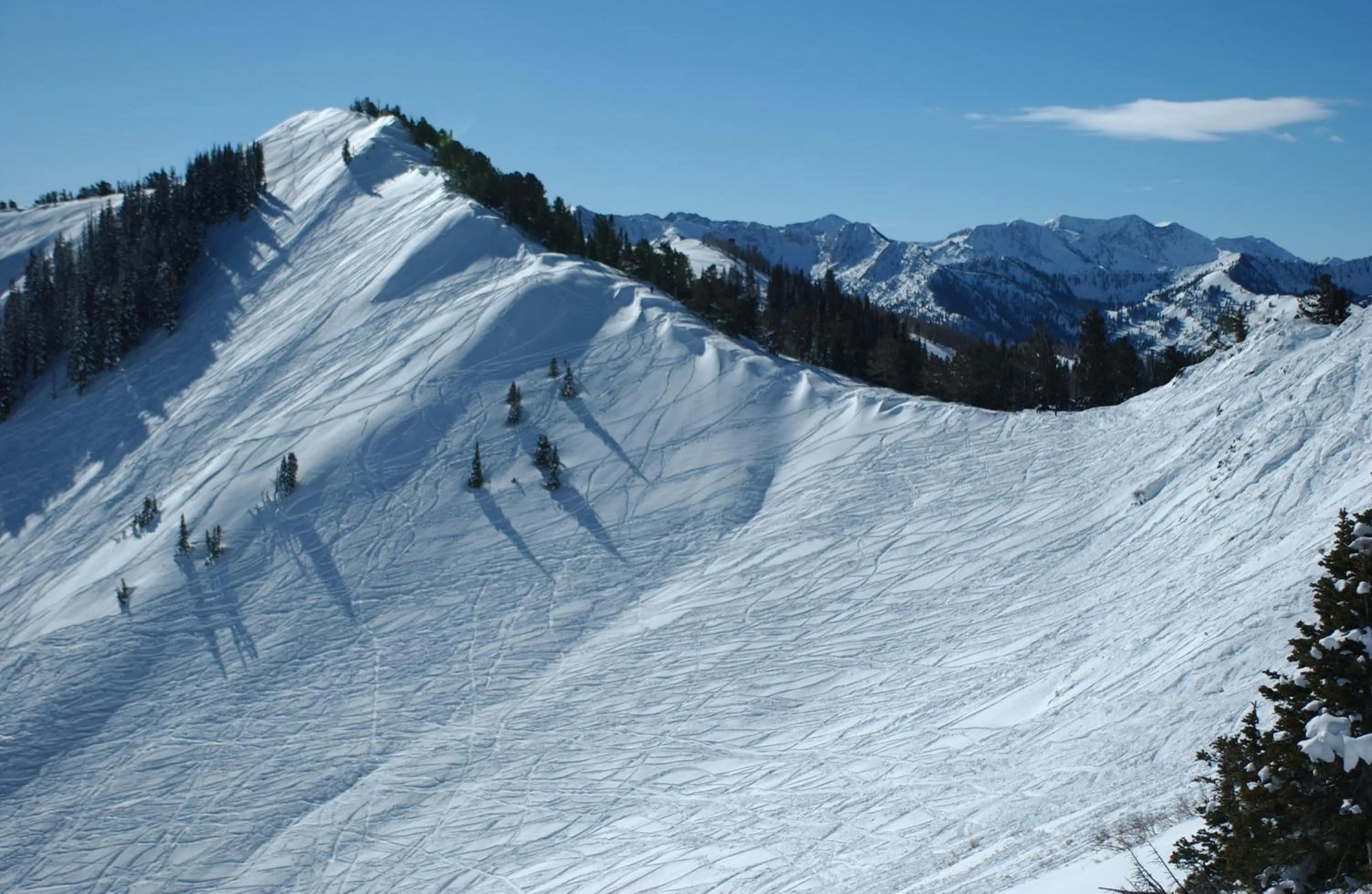 Natural landscape in Raintree's The Miners Club Park City