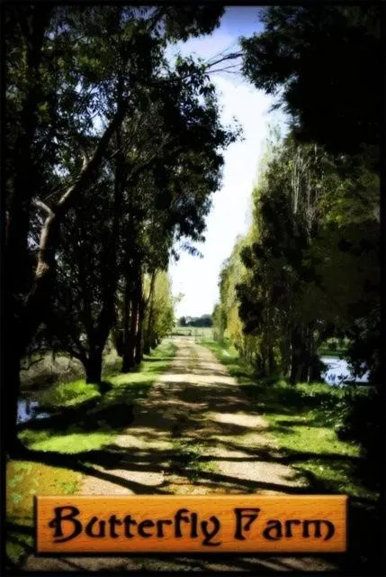 Area and facilities in Butterfly Farm Bed and Breakfast Nirranda