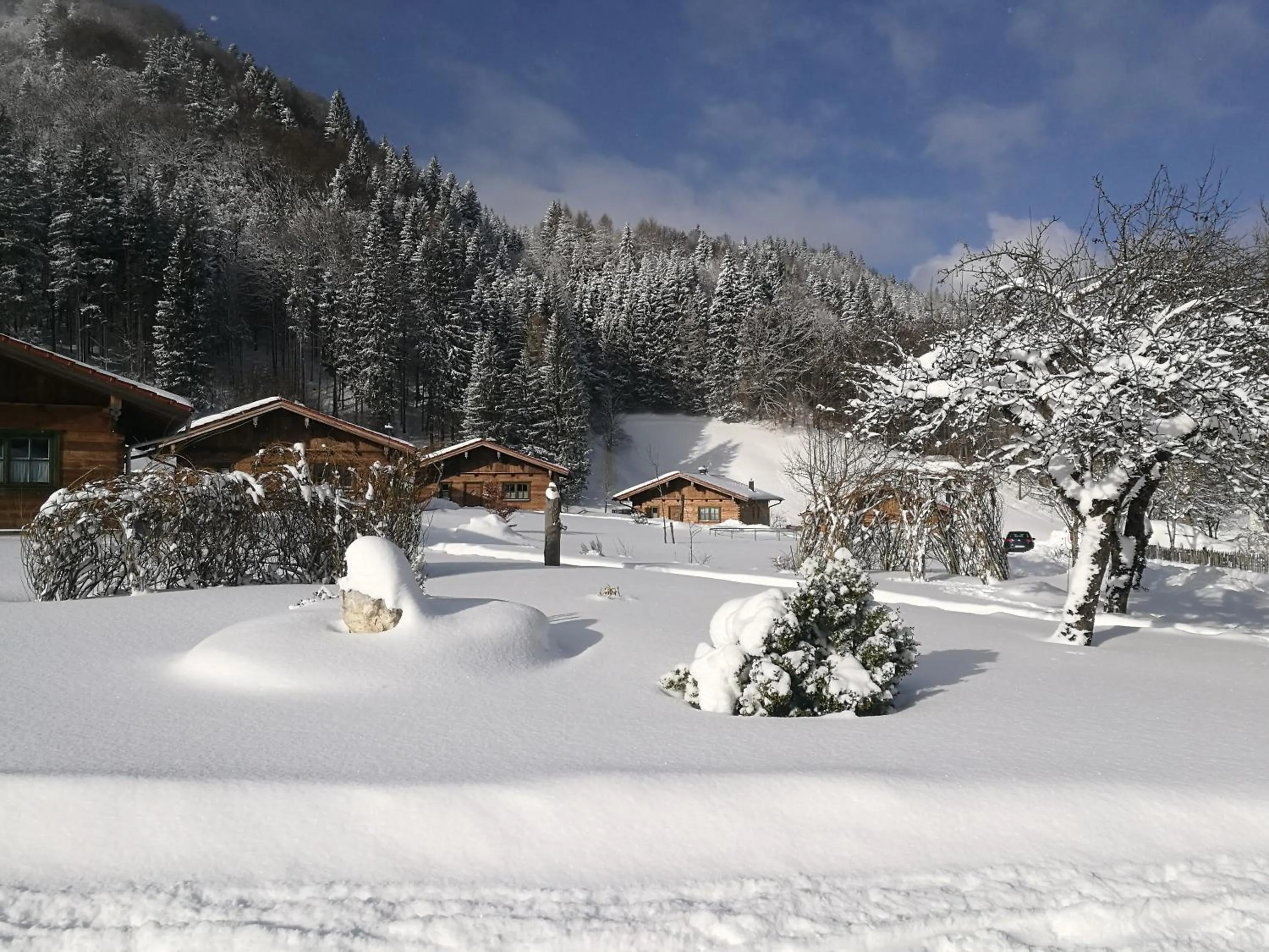 Natural landscape in Chalets & Apartments Beim Waicher zwischen Salzburg und Chiemsee