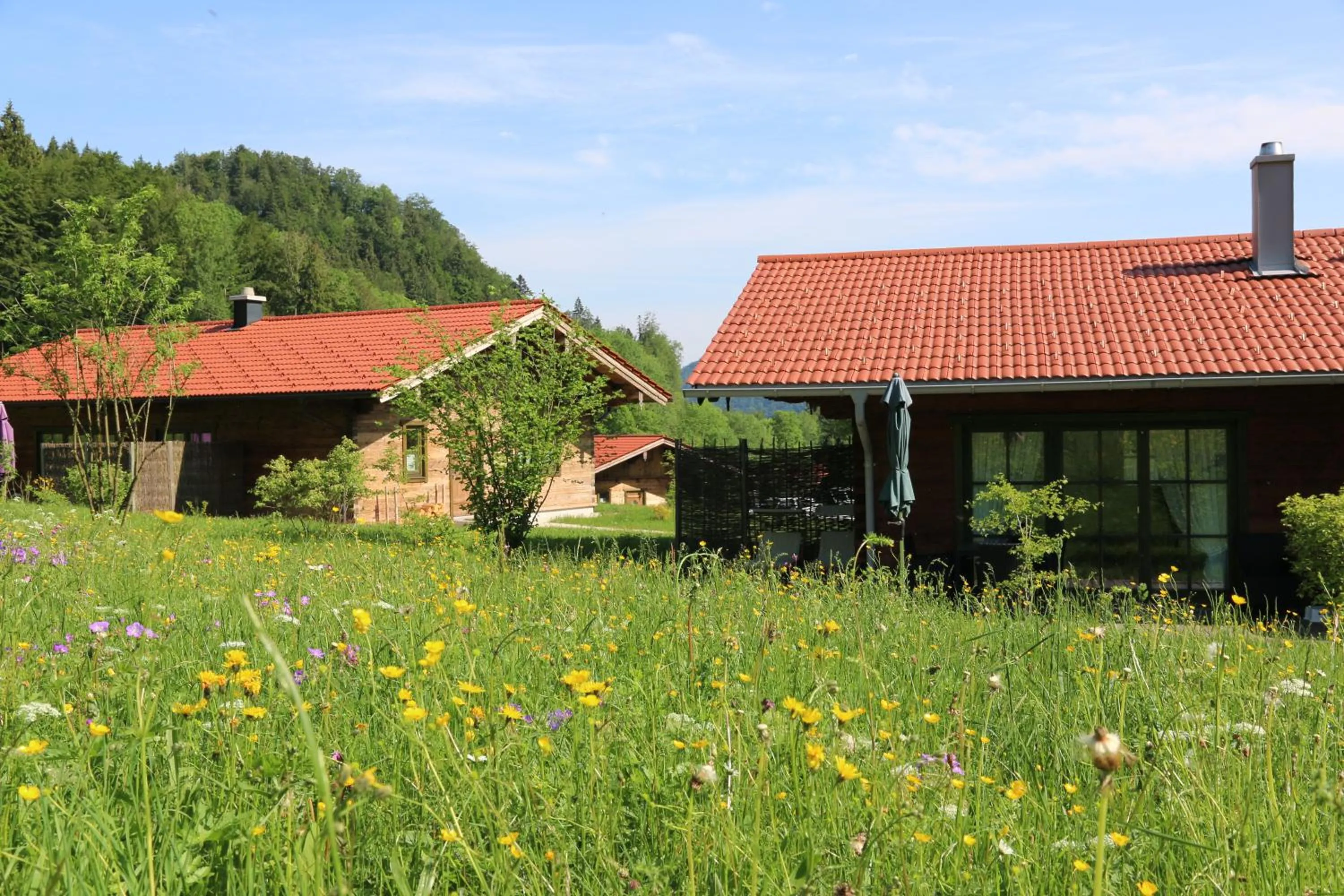 Garden view in Chalets & Apartments Beim Waicher zwischen Salzburg und Chiemsee