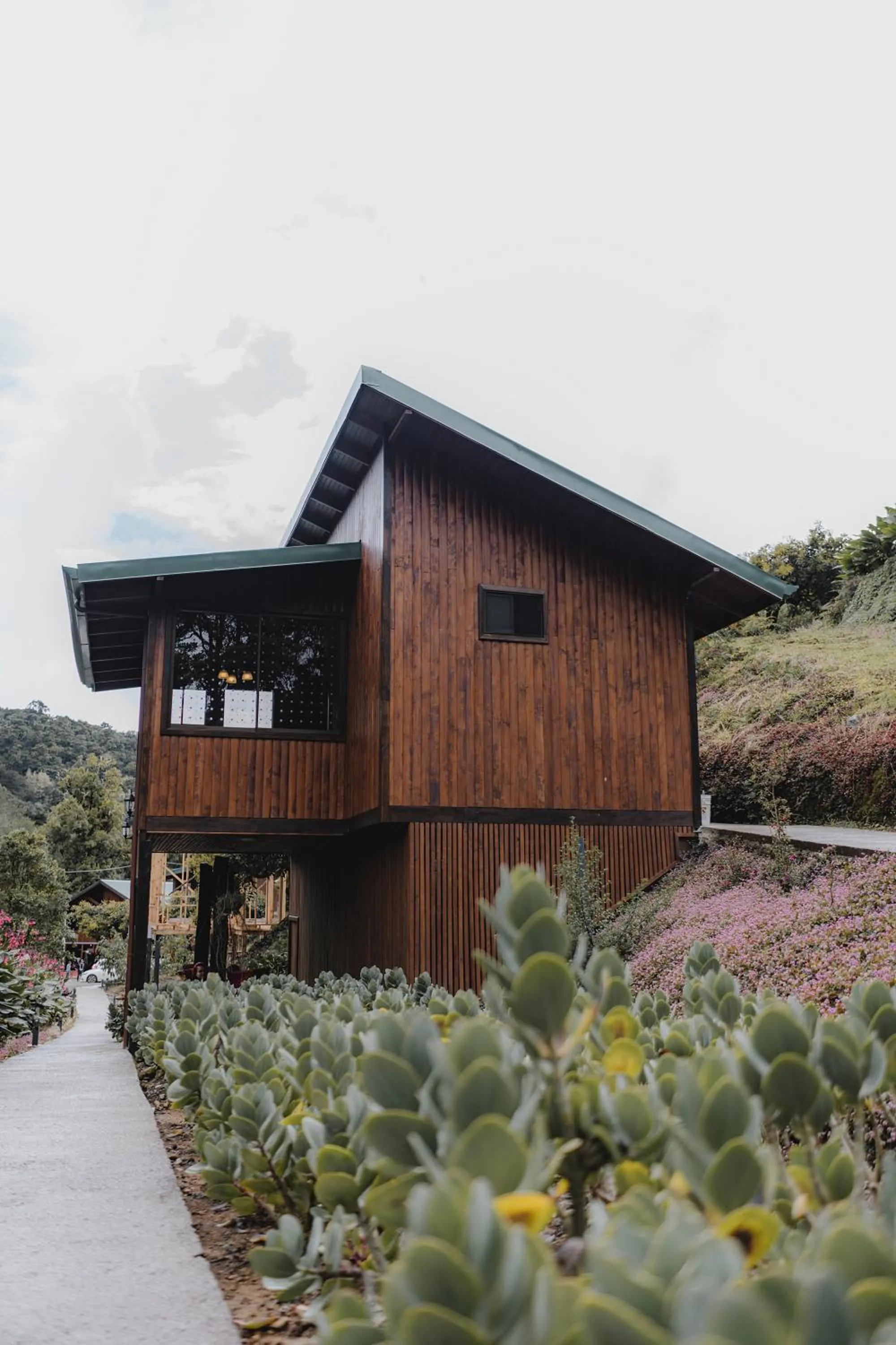 Lauraceas Lodge