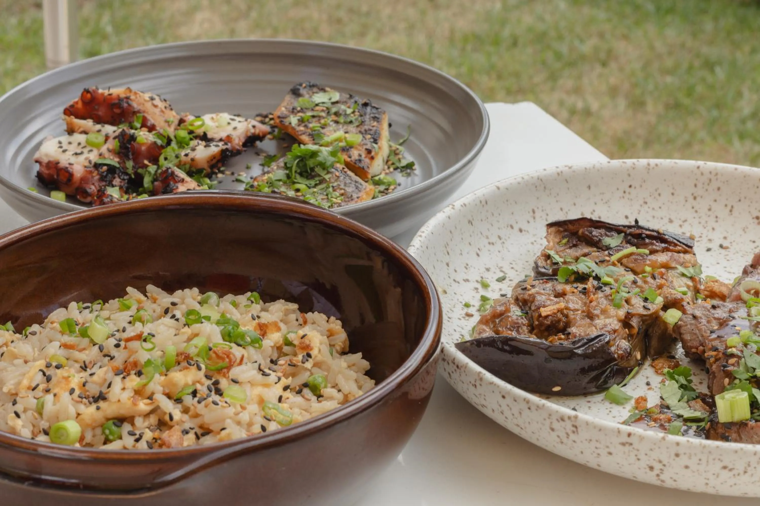 BBQ facilities in Hotel Restaurant La Vague de Saint Paul