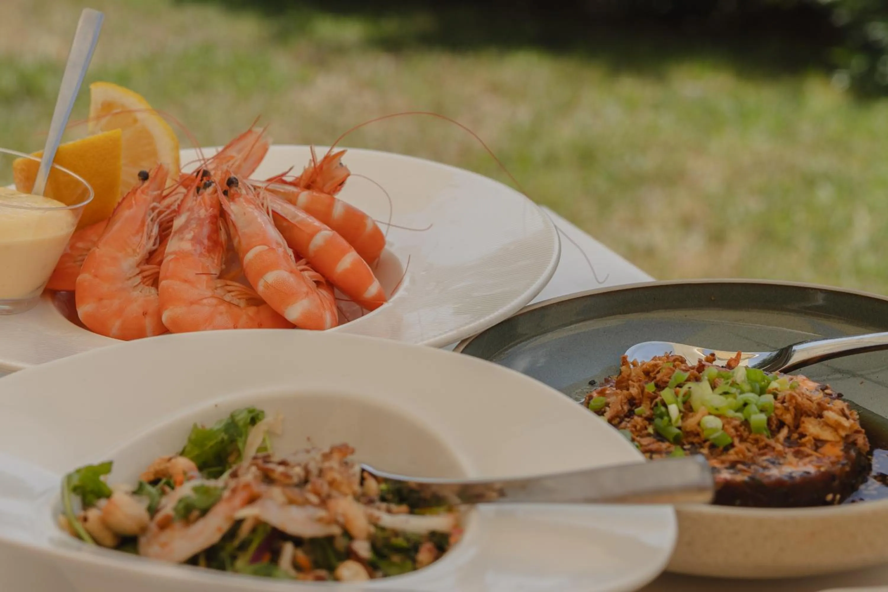 BBQ facilities in Hotel Restaurant La Vague de Saint Paul