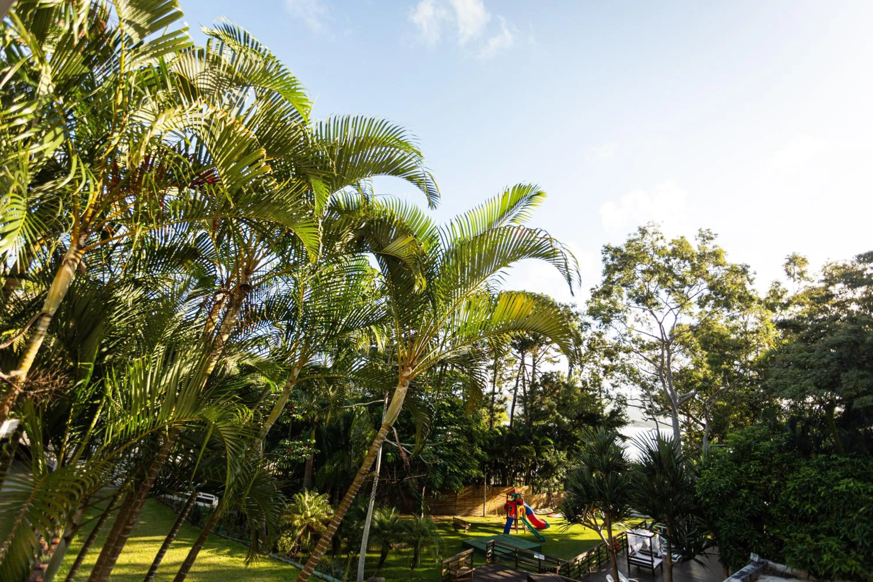 Natural landscape in Pousada Cabanas da Praia Mole