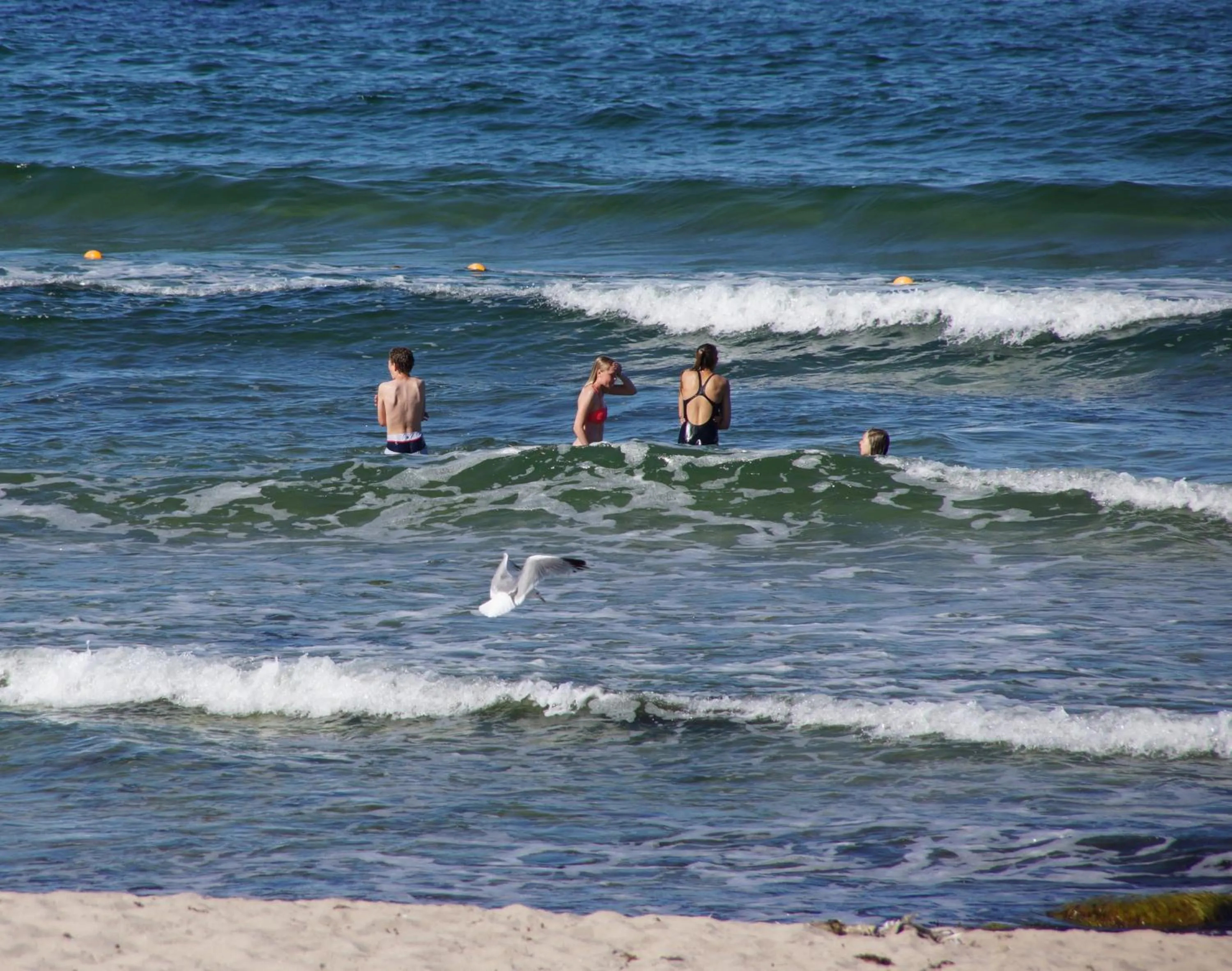 Beach in Hotel Sandvig Havn