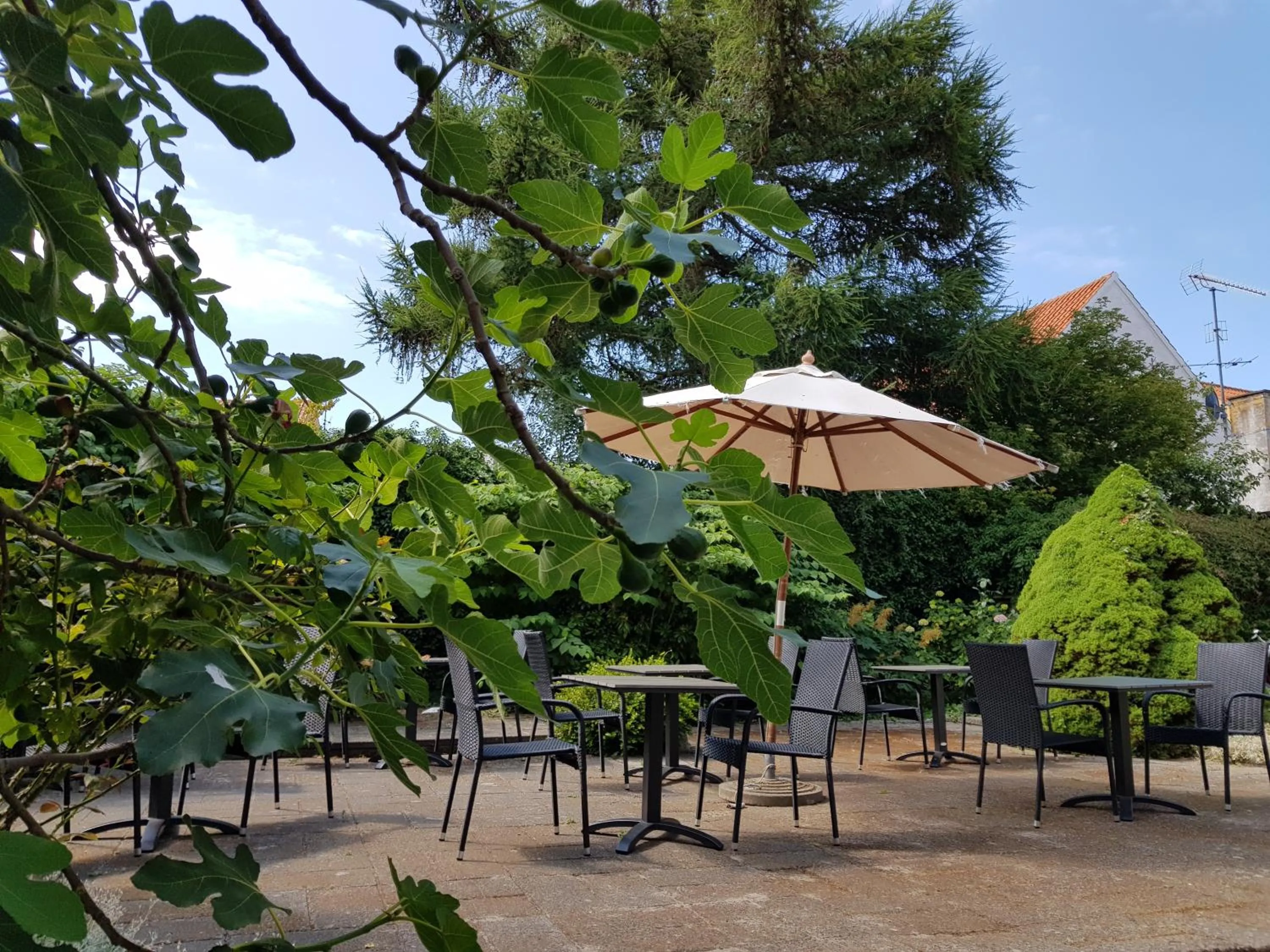 Garden in Hotel Sandvig Havn