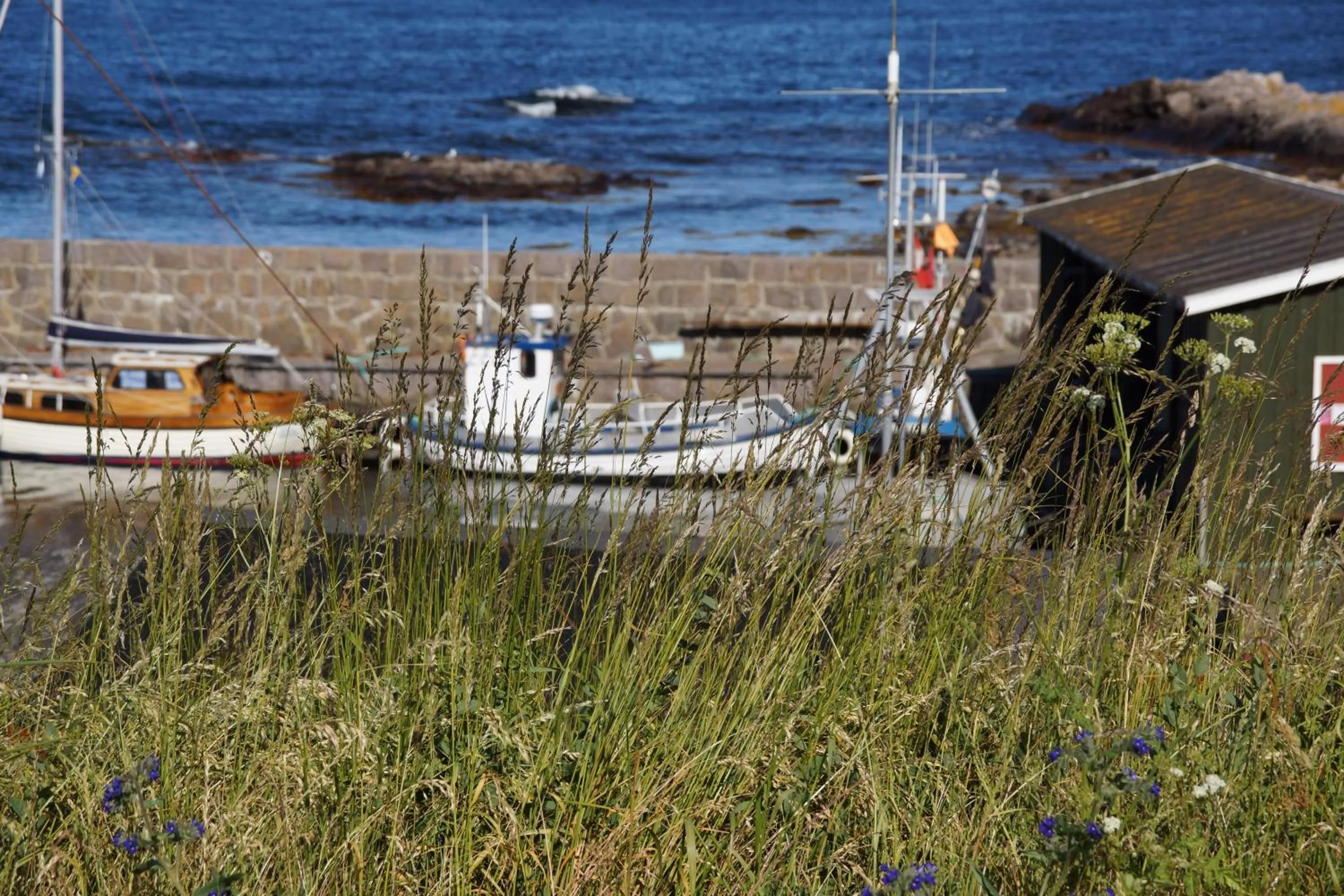 View (from property/room) in Hotel Sandvig Havn