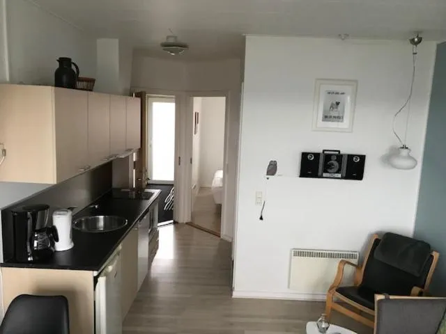 Kitchen or kitchenette in Hotel Sandvig Havn