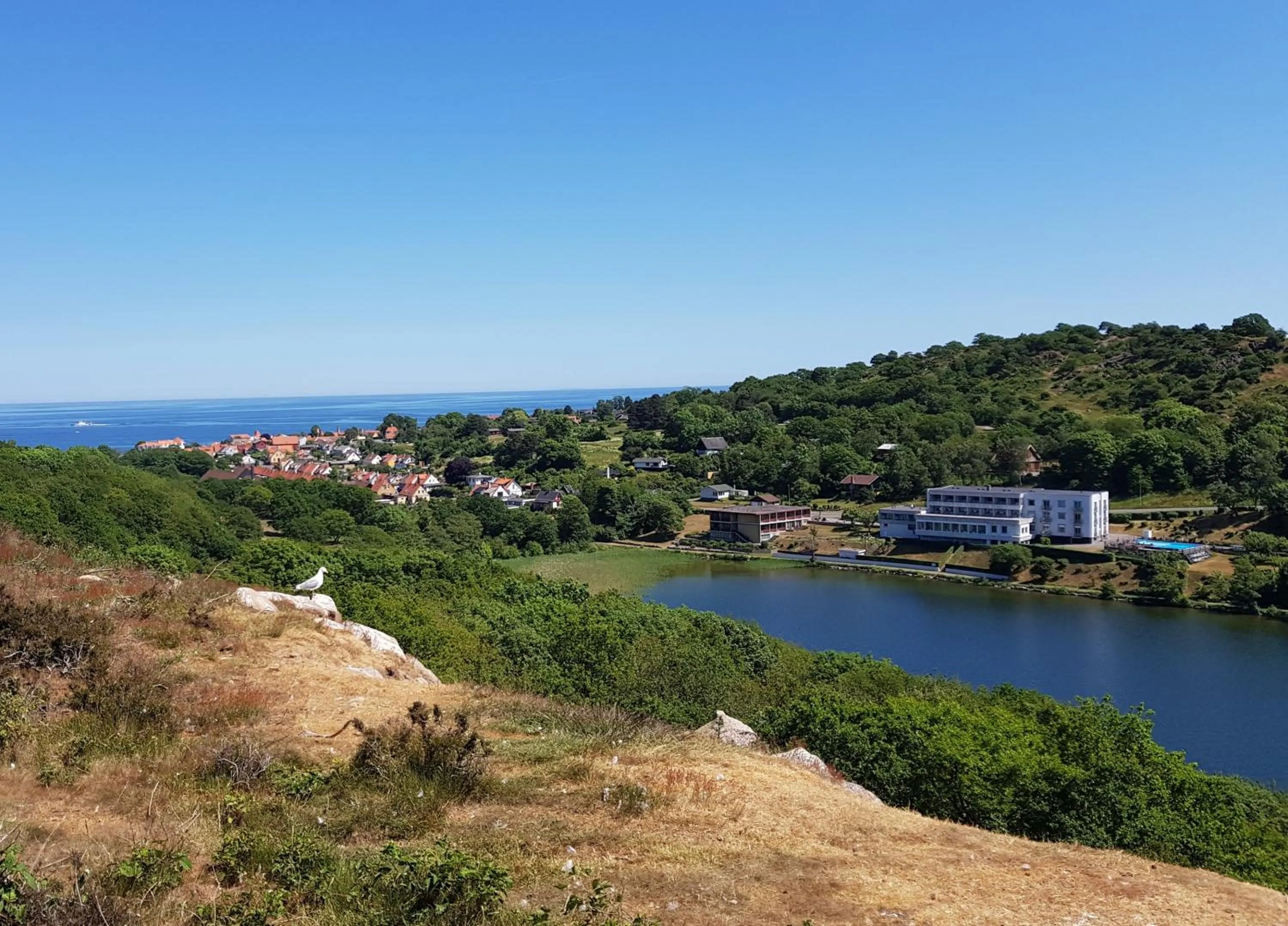 Natural landscape in Hotel Sandvig Havn