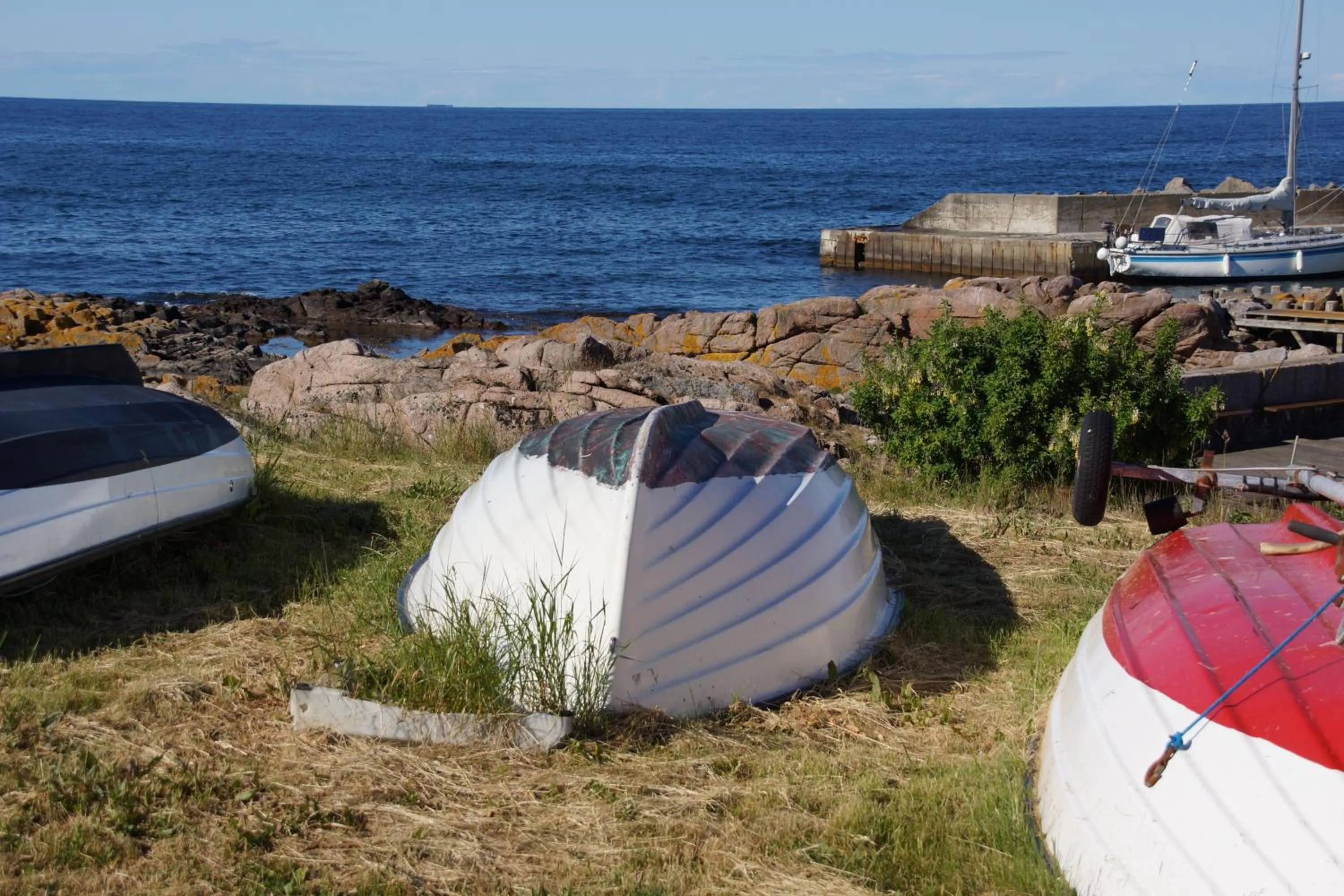 Natural landscape in Hotel Sandvig Havn