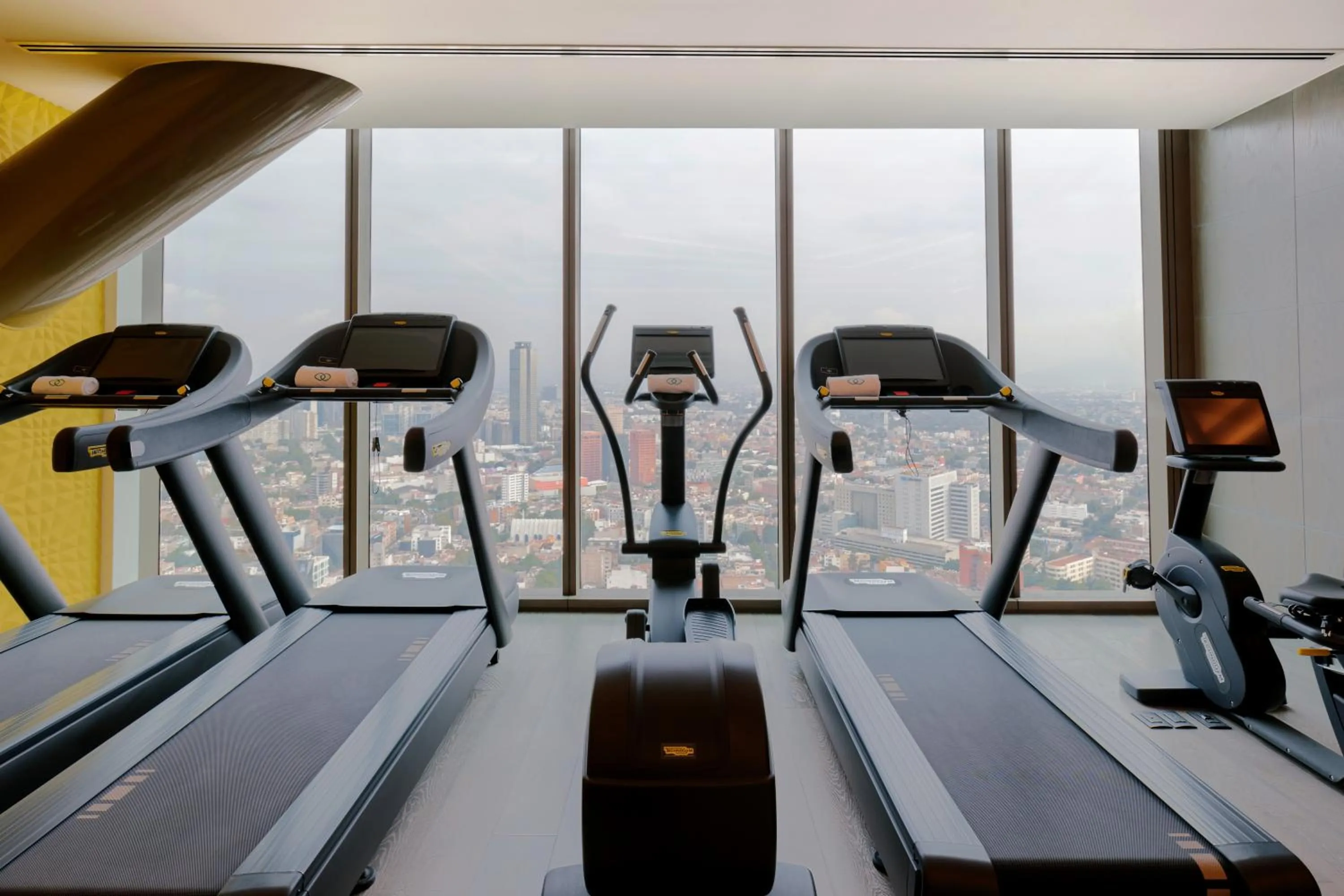 Fitness centre/facilities in Sofitel Mexico City Reforma