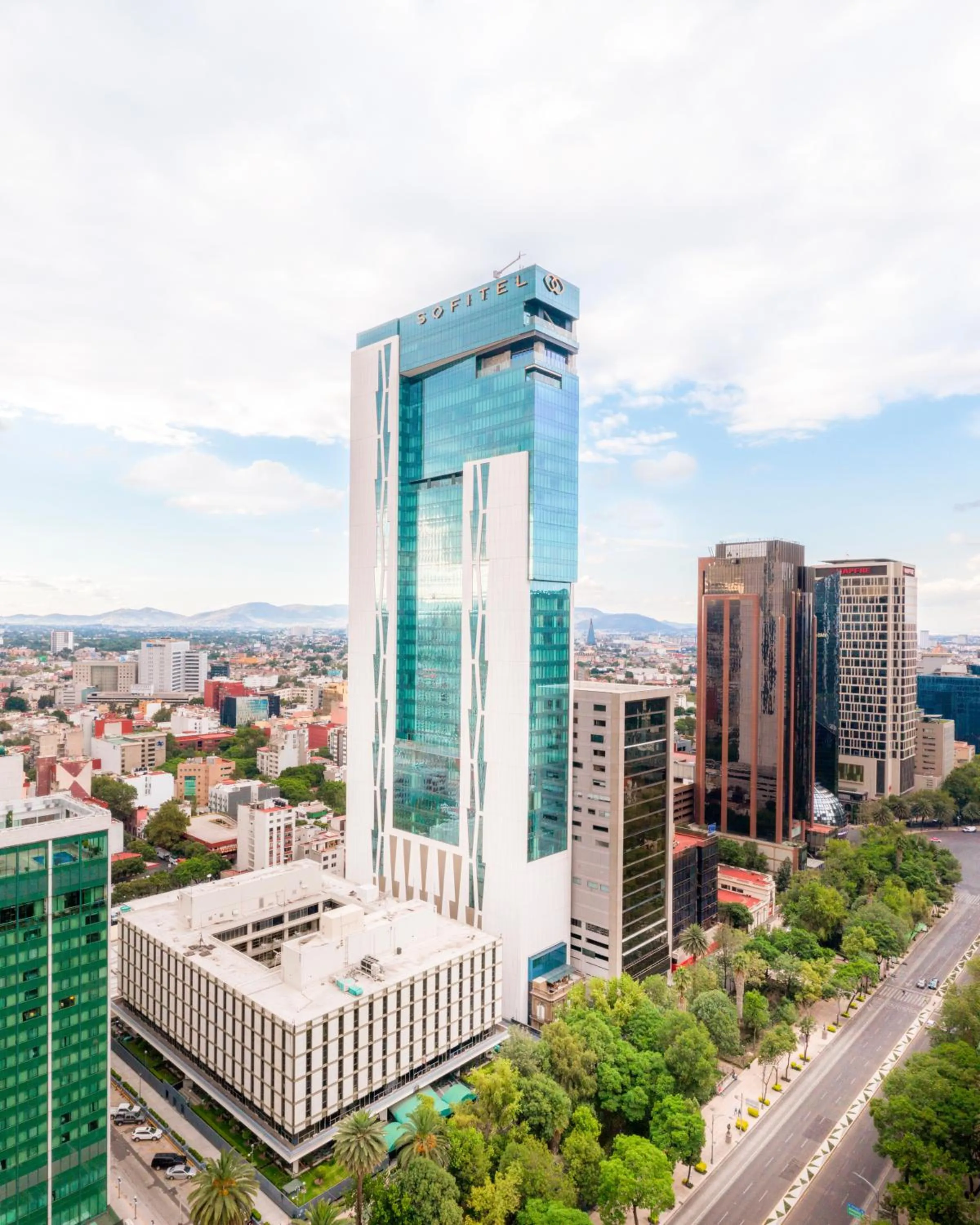 Neighbourhood in Sofitel Mexico City Reforma