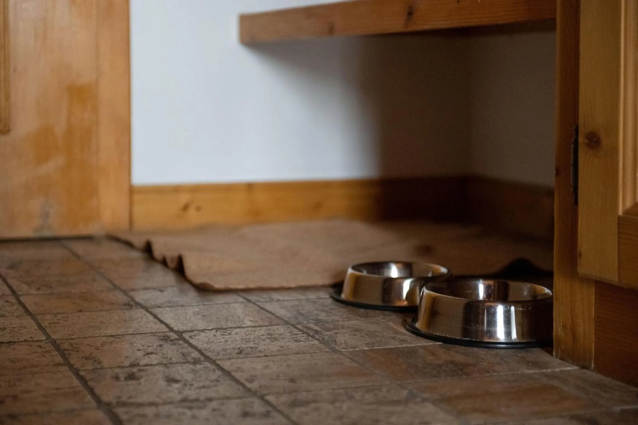 Pets in Le Chalet de Flore