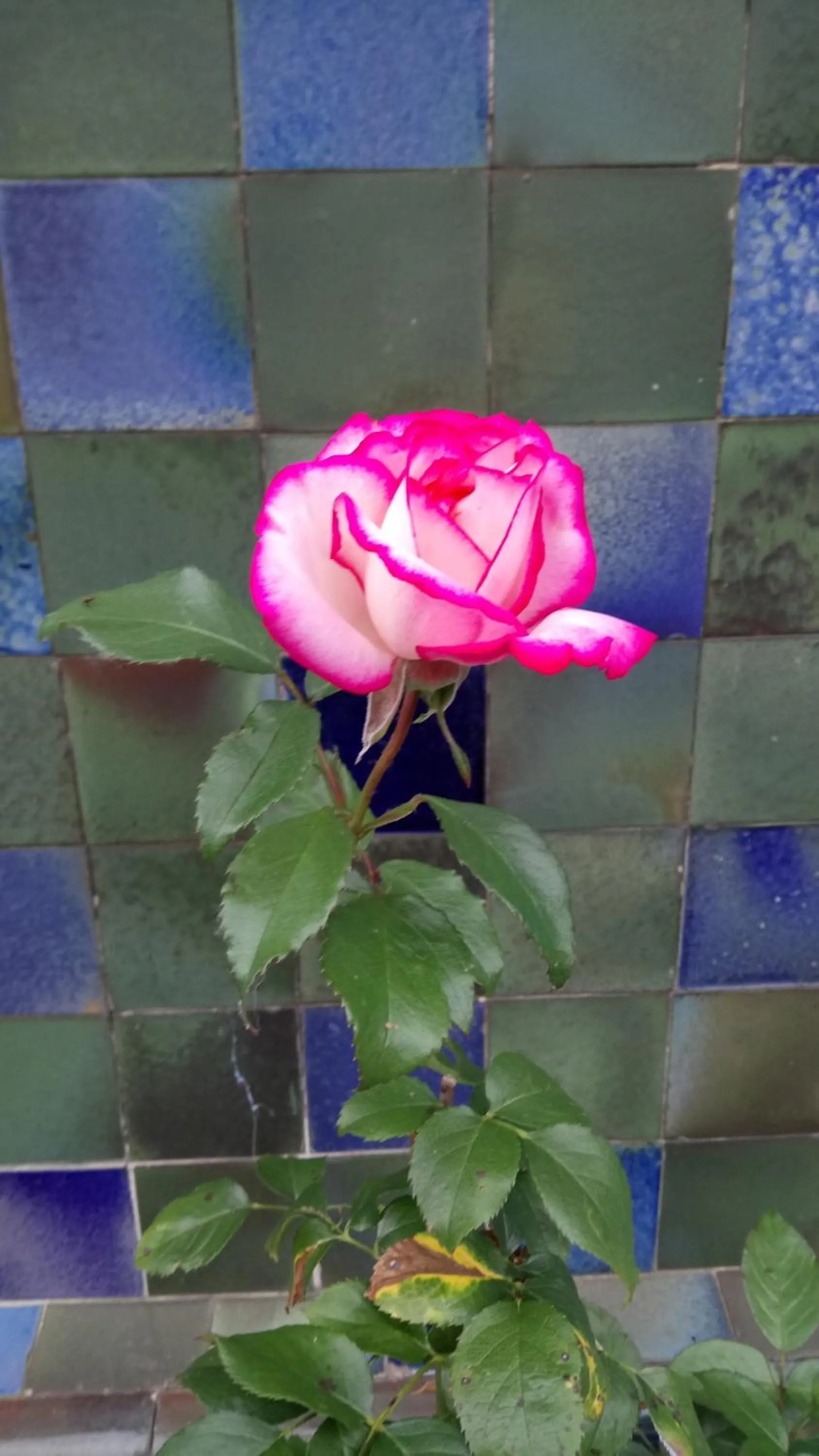 Other in La "charcuterie" GREBER