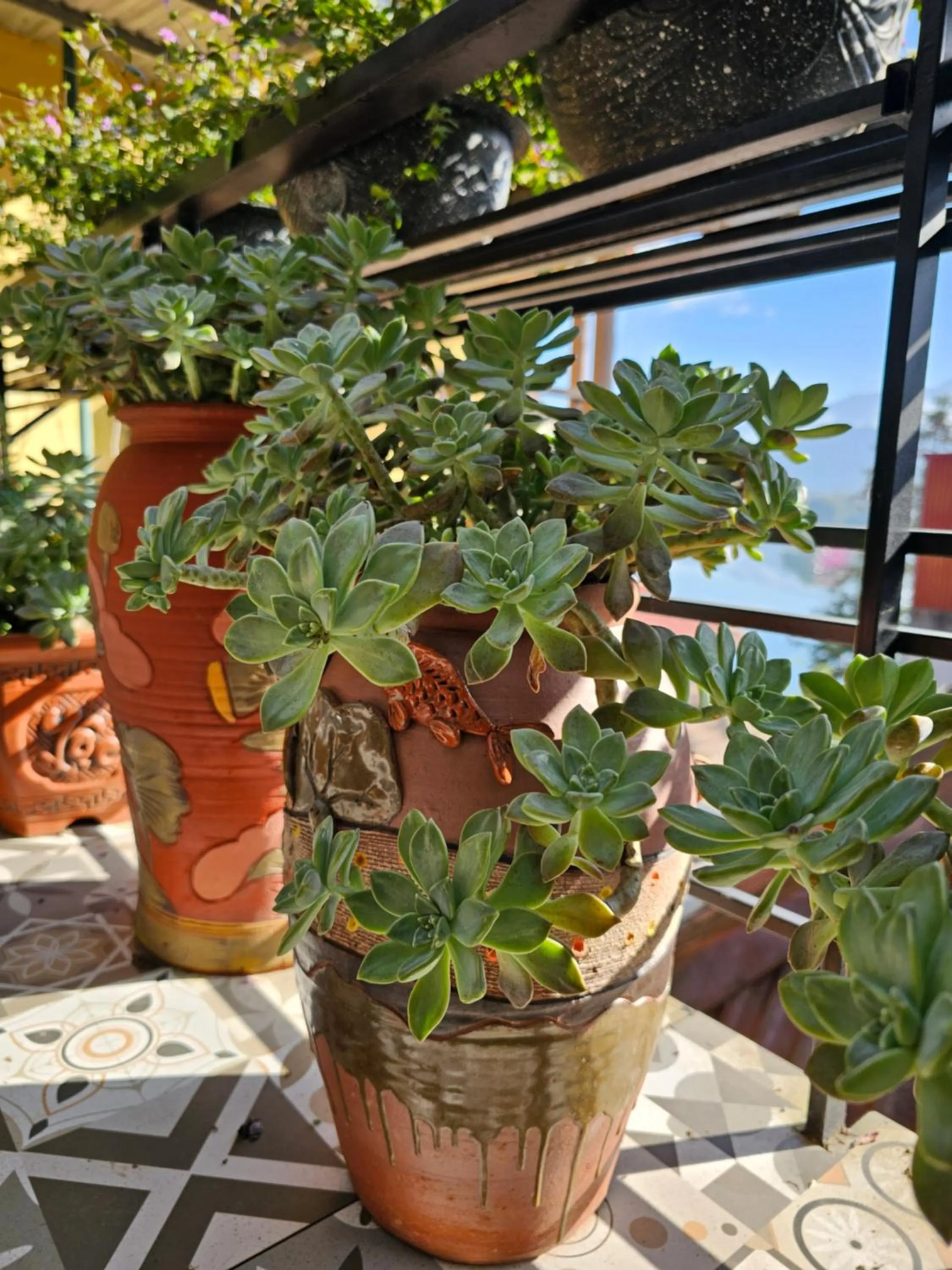 Garden in Dang Khoa Garden Inn