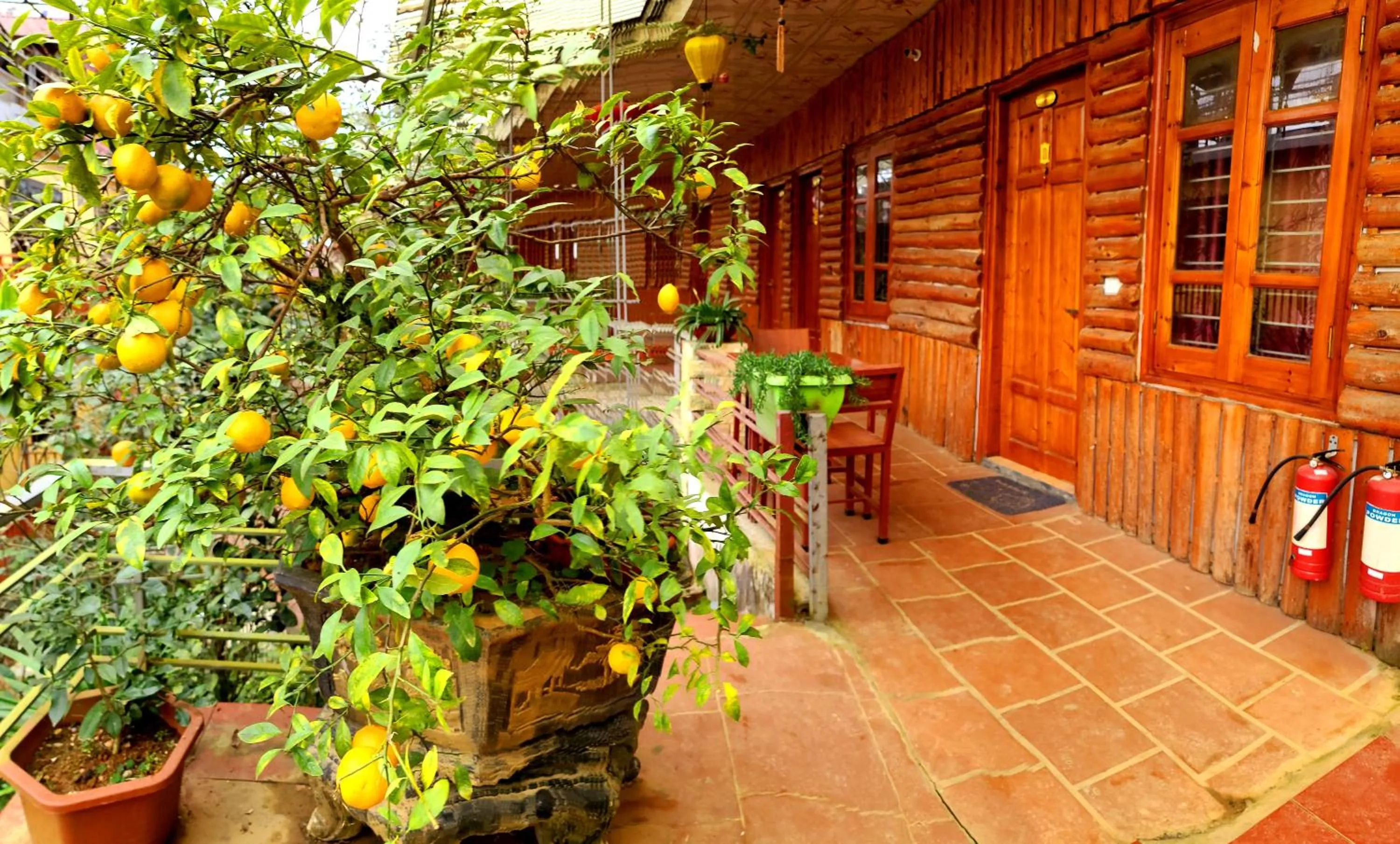 Garden in Dang Khoa Garden Inn