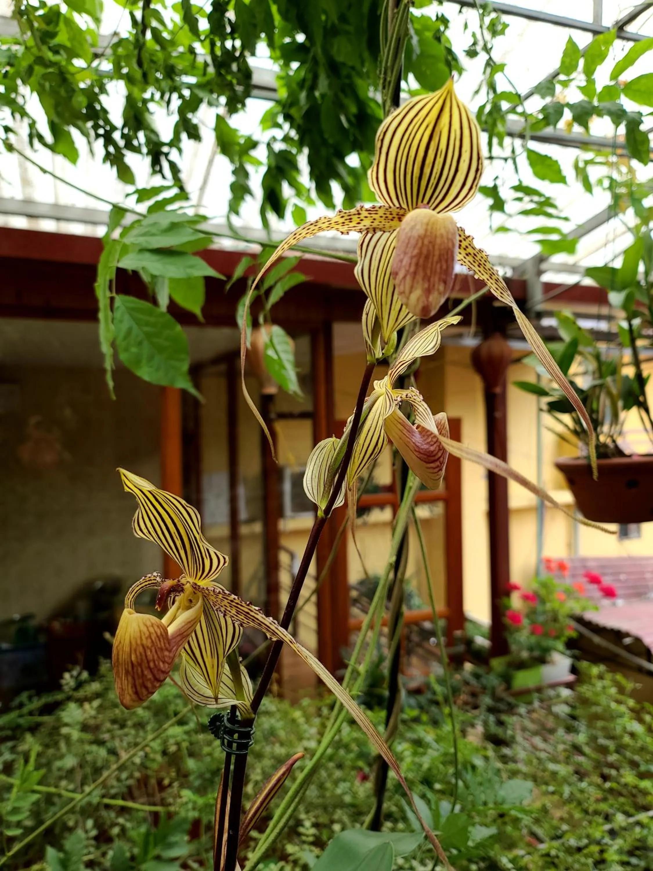 Other in Dang Khoa Garden Inn