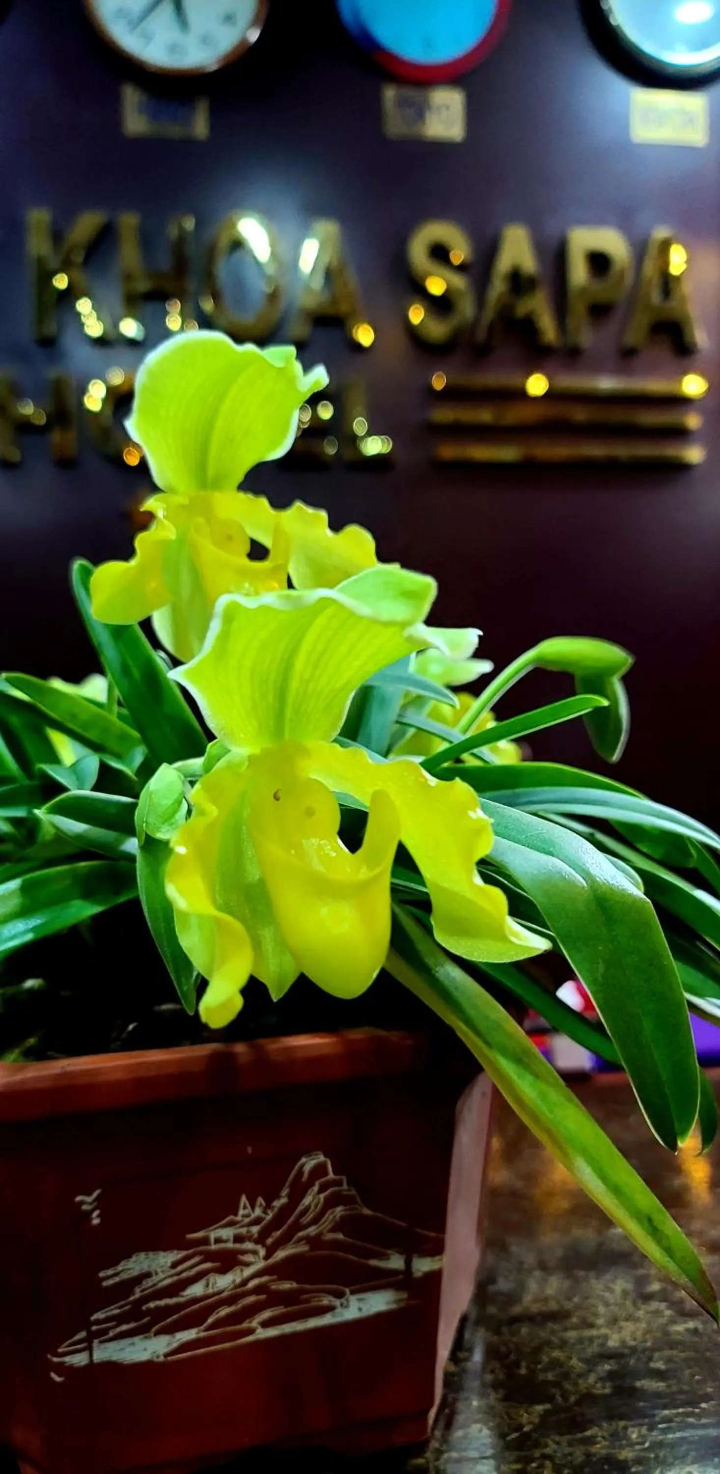 Restaurant/places to eat in Dang Khoa Garden Inn