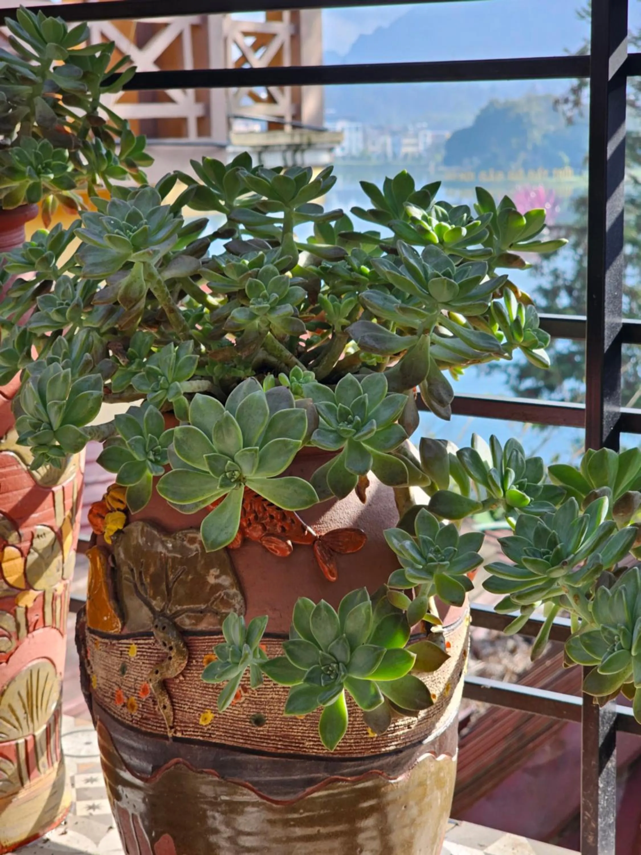 Garden view in Dang Khoa Garden Inn