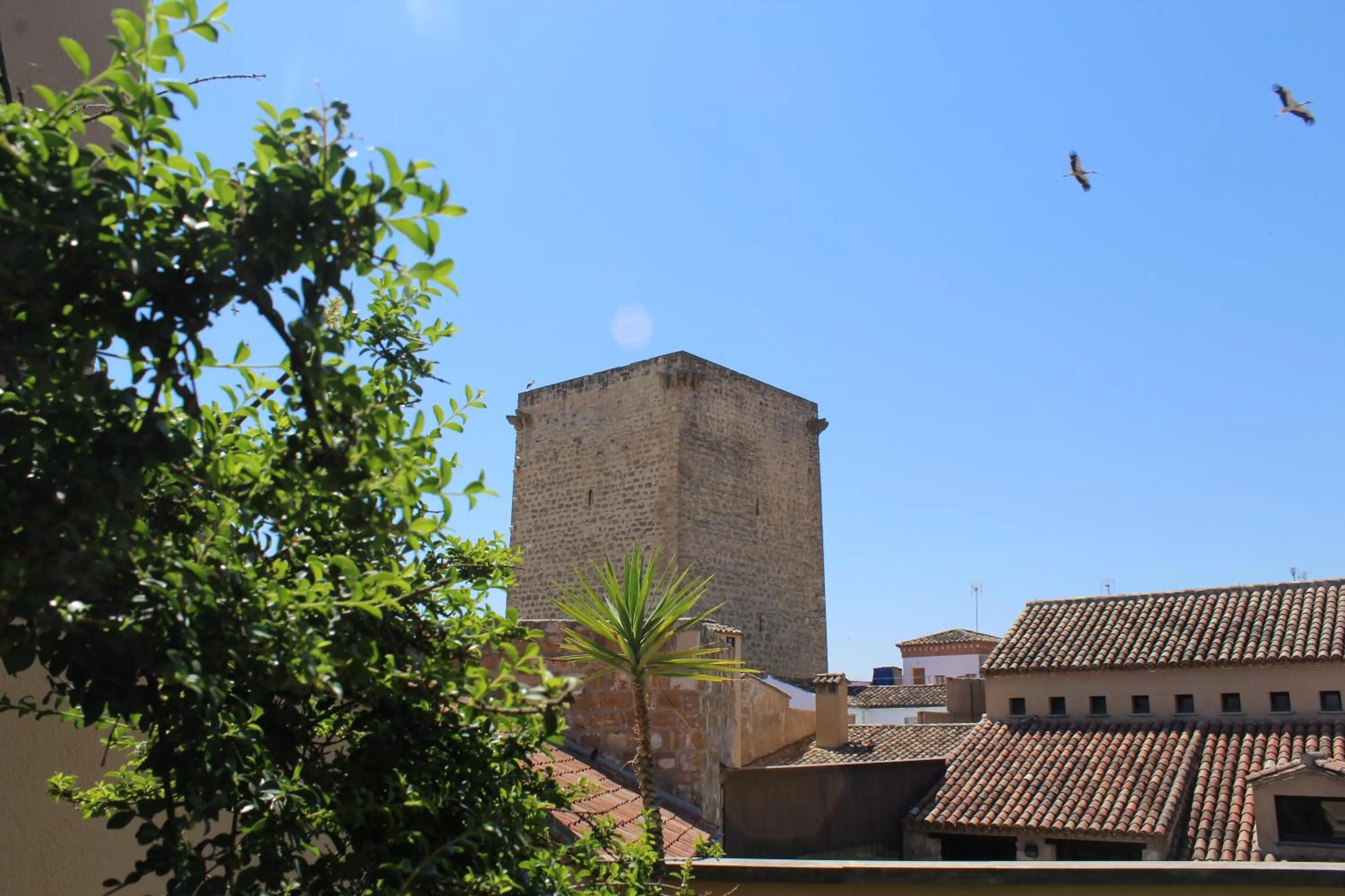 Nearby landmark in Hotel Palacio de Mengibar
