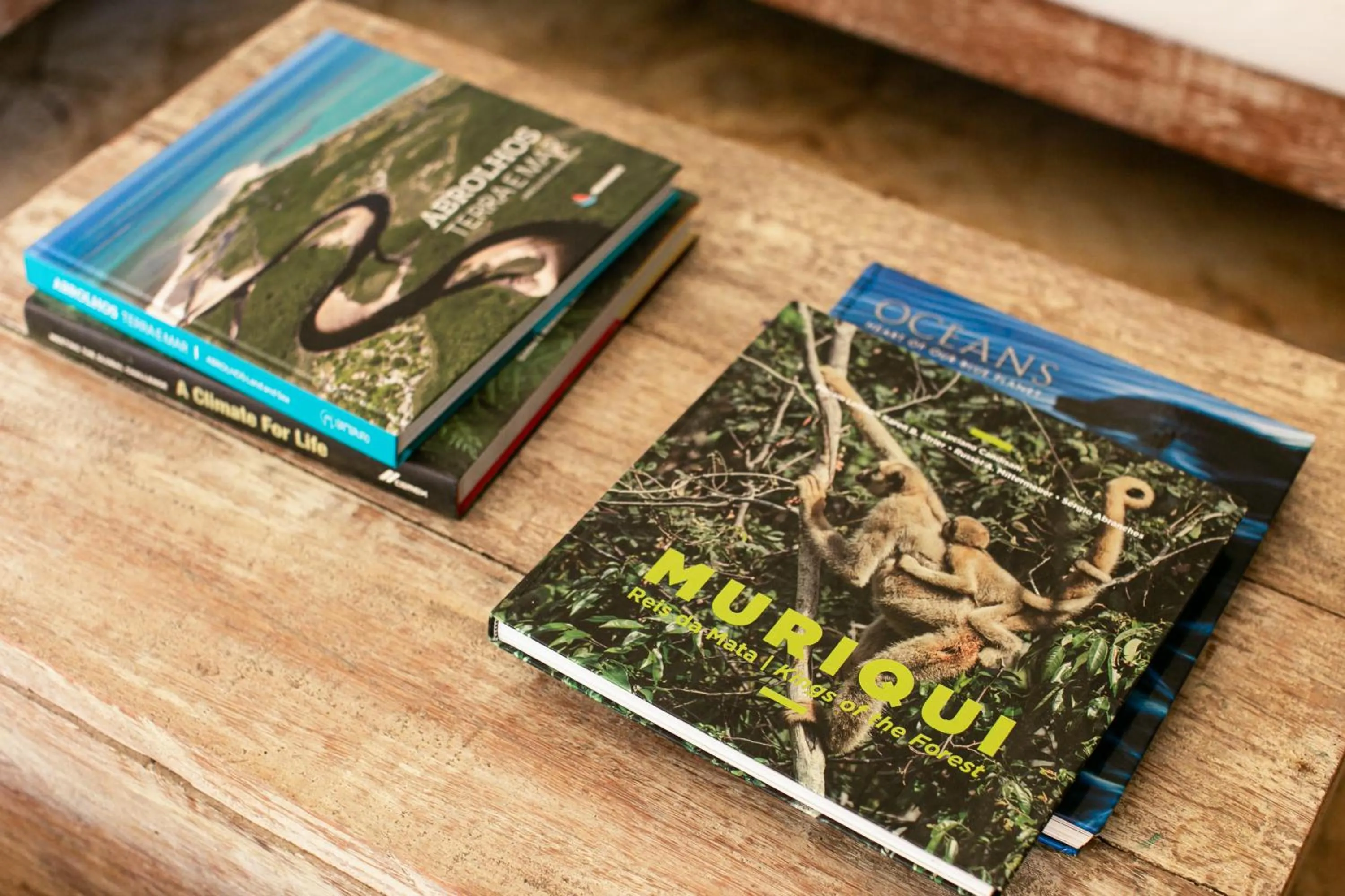 Area and facilities in Pousada Casa Cactus Praia da Tartaruga Búzios