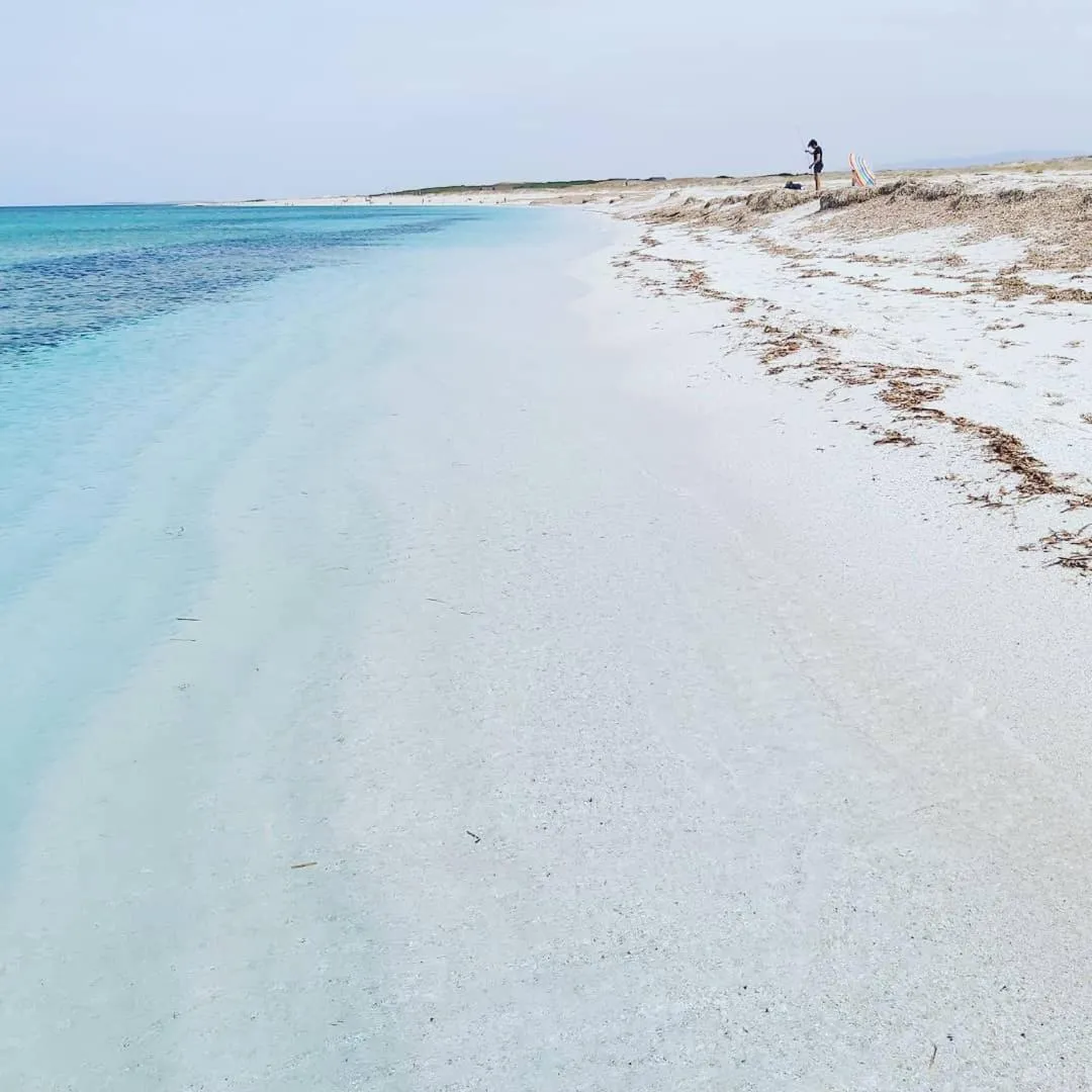 Bed & Breakfast Il Rosmarino