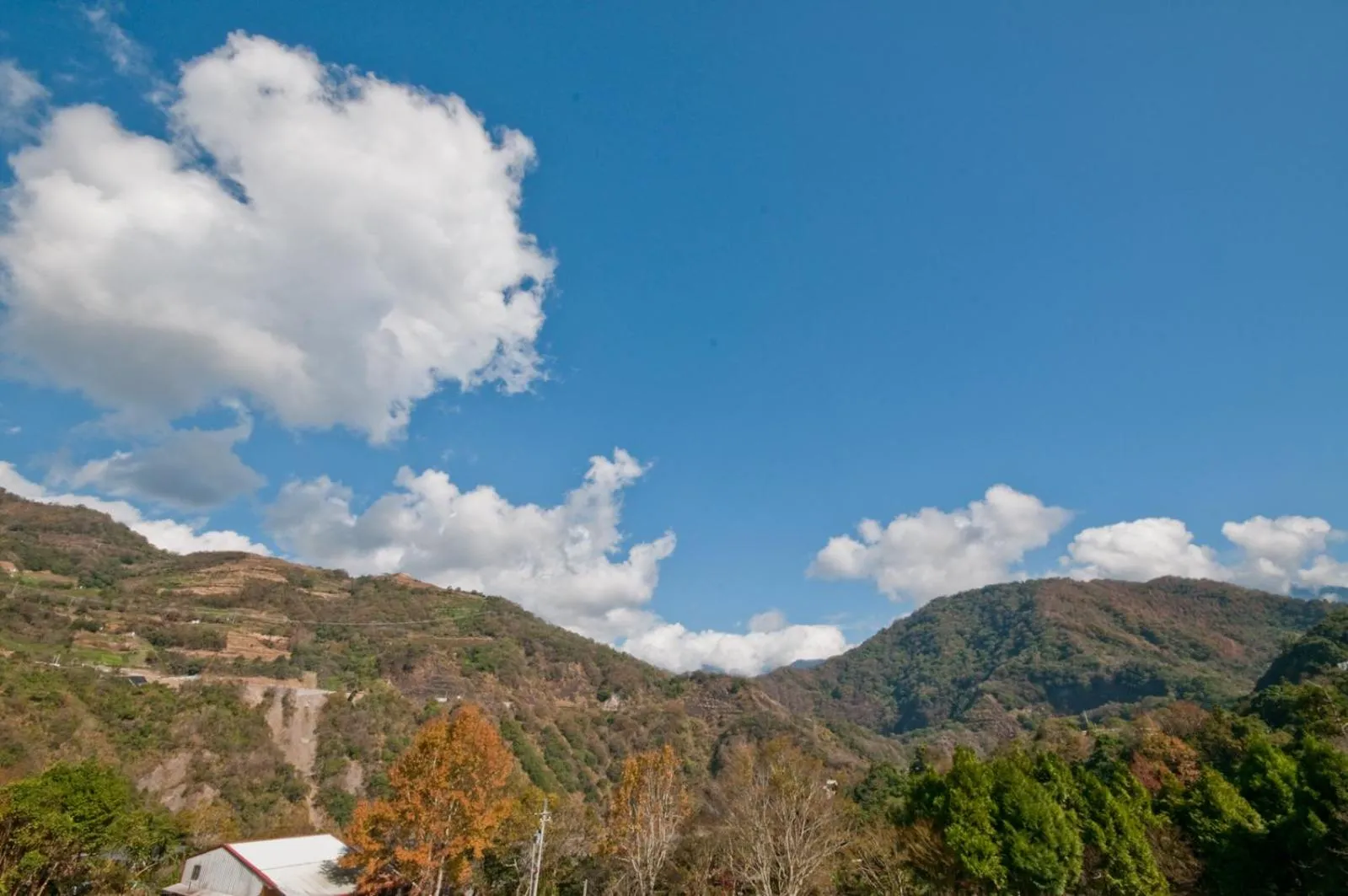 ChunYang Homestay春陽一品居