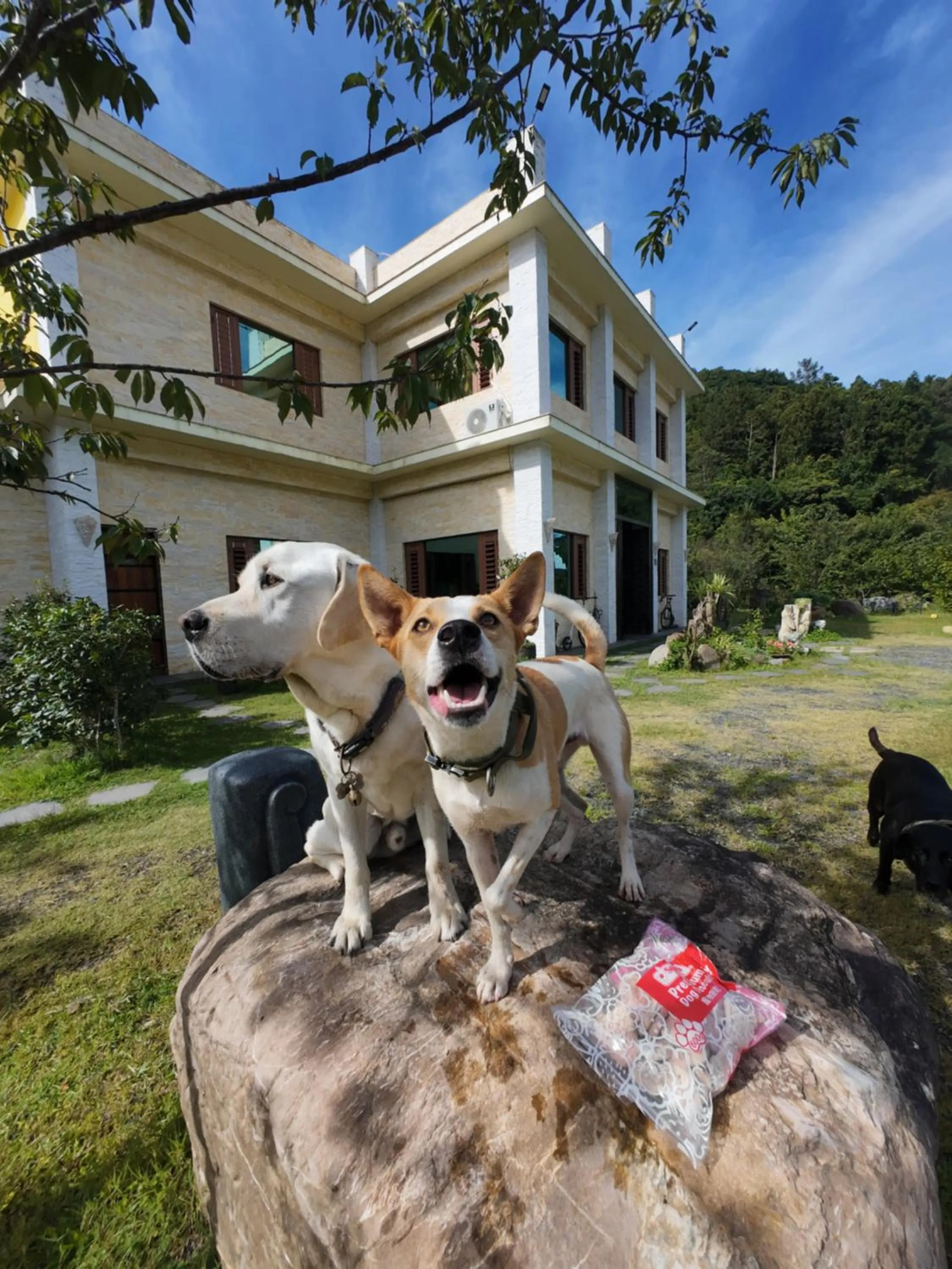 春陽溫泉一品居 ChunYang Homestay hot spring