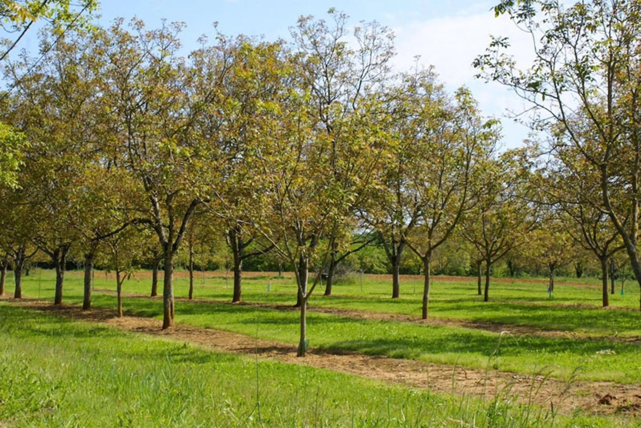 La Ferme du Pech