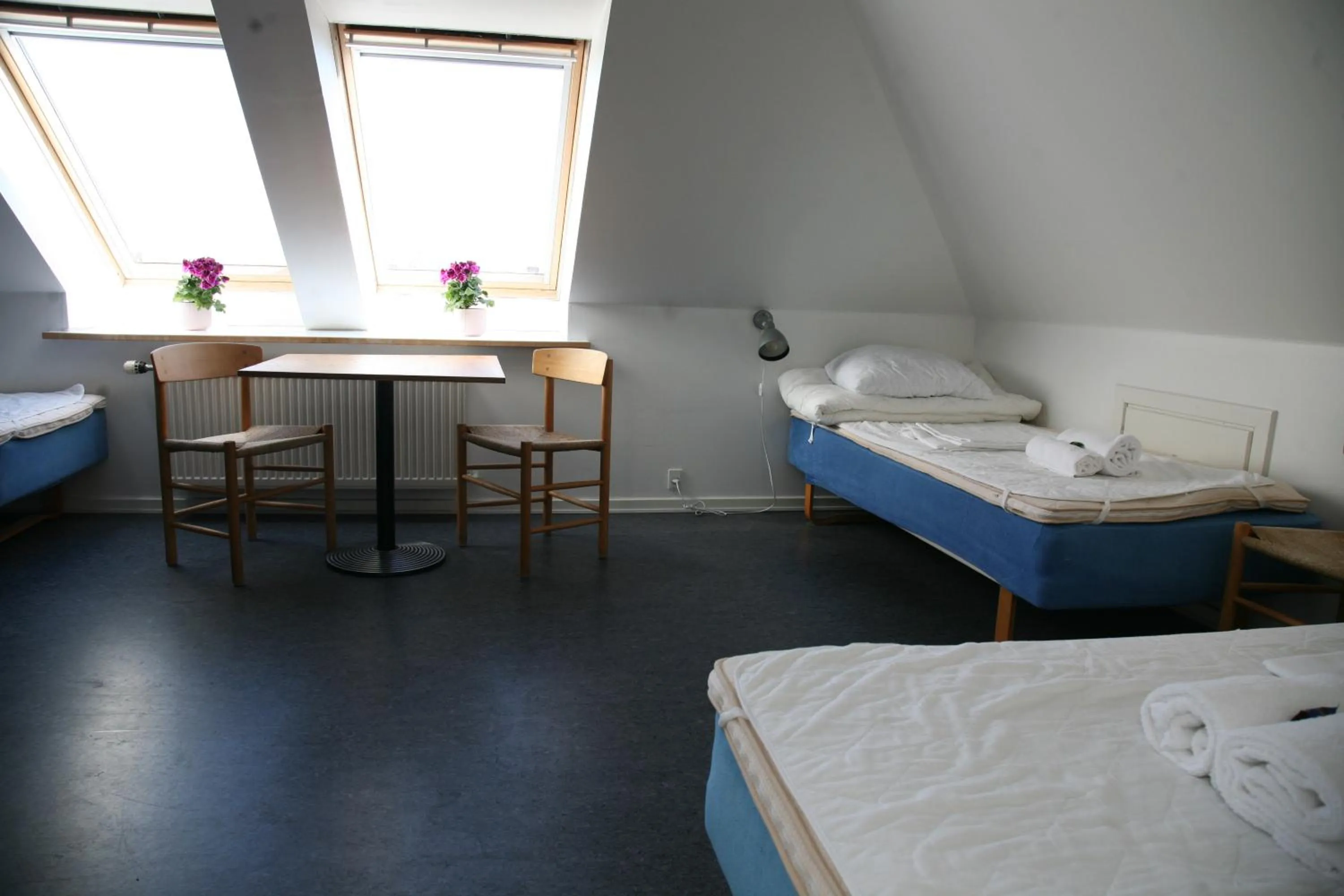 Bed in Nexø Modern Hostel. Private Rooms